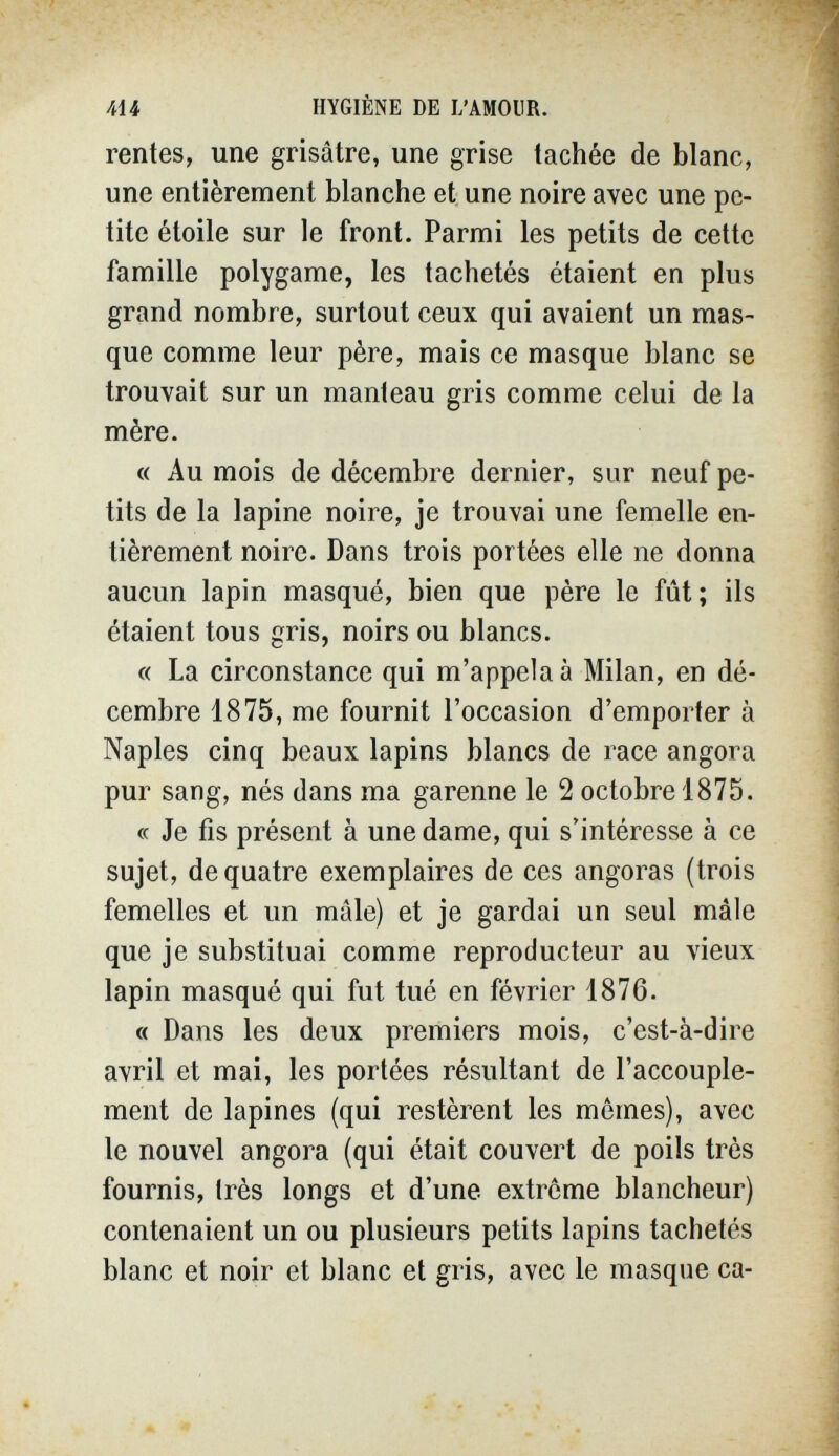 414 HYGIÈNE DE L'AMOUR. rentes, une grisâtre, une grise tachée de blanc, une entièrement blanche et une noire avec une pe¬ tite étoile sur le front. Parmi les petits de cette famille polygame, les tachetés étaient en plus grand nombre, surtout ceux qui avaient un mas¬ que comme leur père, mais ce masque blanc se trouvait sur un manteau gris comme celui de la mère. « Au mois de décembre dernier, sur neuf pe¬ tits de la lapine noire, je trouvai une femelle en¬ tièrement noire. Dans trois portées elle ne donna aucun lapin masqué, bien que père le fût; ils étaient tous gris, noirs ou blancs. « La circonstance qui m'appela à Milan, en dé¬ cembre 1875, me fournit l'occasion d'emporter à Naples cinq beaux lapins blancs de race angora pur sang, nés dans ma garenne le 2 octobre 1875. « Je fis présent à une dame, qui s'intéresse à ce sujet, de quatre exemplaires de ces angoras (trois femelles et un mâle) et je gardai un seul mâle que je substituai comme reproducteur au vieux lapin masqué qui fut tué en février 1876. « Dans les deux premiers mois, c'est-à-dire avril et mai, les portées résultant de l'accouple¬ ment de lapines (qui restèrent les mômes), avec le nouvel angora (qui était couvert de poils très fournis, très longs et d'une extreme blancheur) contenaient un ou plusieurs petits lapins tachetés blanc et noir et blanc et gris, avec le masque ca-