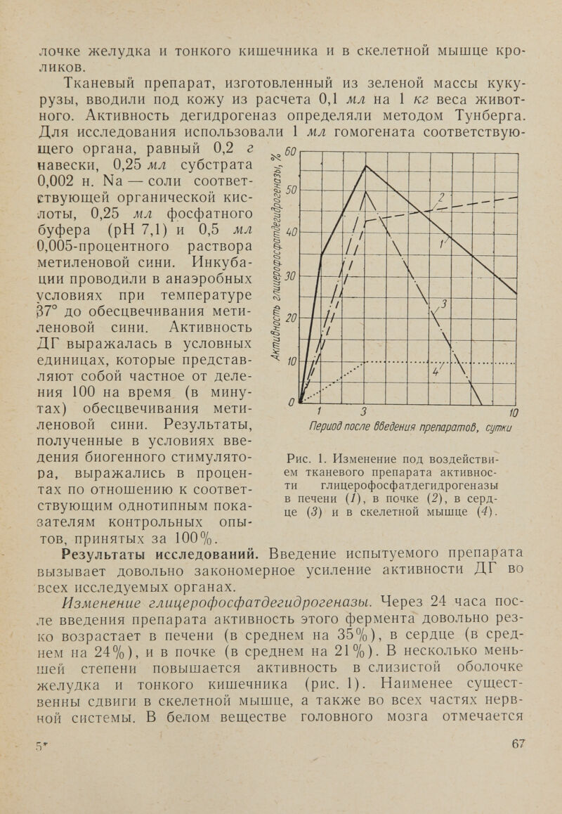 лочке желудка и тонкого кишечника и в скелетной мышце кро¬ ликов. Тканевый препарат, изготовленный из зеленой массы куку¬ рузы, вводили под кожу из расчета 0,1 мл на 1 кг веса живот¬ ного. Активность дегидрогеназ определяли методом Тунберга. Для исследования использовали 1 мл гомогената соответствую¬ щего органа, равный 0,2 г навески, 0,25 мл субстрата 0,002 н. Na — соли соответ¬ ствующей органической кис¬ лоты, 0,25 мл фосфатного буфера (рН 7,1) и 0,5 мл 0,005-процентного раствора метиленовой сини. Инкуба¬ ции проводили в анаэробных условиях при температуре 37° до обесцвечивания мети¬ леновой сини. Активность ДГ выражалась в условных единицах, которые представ¬ ляют собой частное от деле¬ ния 100 на время (в мину¬ тах) обесцвечивания мети¬ леновой сини. Результаты, полученные в условиях вве¬ дения биогенного стимулято¬ ра, выражались в процен¬ тах по отношению к соответ¬ ствующим однотипным пока¬ зателям контрольных опы¬ тов, принятых за 100%. Результаты исследований. Введение испытуемого препарата вызывает довольно закономерное усиление активности ДГ во всех исследуемых органах. Изменение глицерофосфатдегидрогеназы. Через 24 часа пос¬ ле введения препарата активность этого фермента довольно рез¬ ко возрастает в печени (в среднем на 35%), в сердце (в сред¬ нем на 24%), и в почке (в среднем на 21%)- В несколько мень¬ шей степени повышается активность в слизистой оболочке желудка и тонкого кишечника (рис. 1). Наименее сущест¬ венны сдвиги в скелетной мышце, а также во всех частях нерв¬ ной системы. В белом веществе головного мозга отмечается 5^ I I Ci I I I I 60 50 30 20 10 1 3 Ю Период после бведения препаратоб, сути Рис. 1. Изменение под воздействи¬ ем тканевого препарата активнос¬ ти глицерофосфатдегидрогеназы в печени (/), в почке (2), в серд¬ це (5) и в скелетной мышце {4). 67