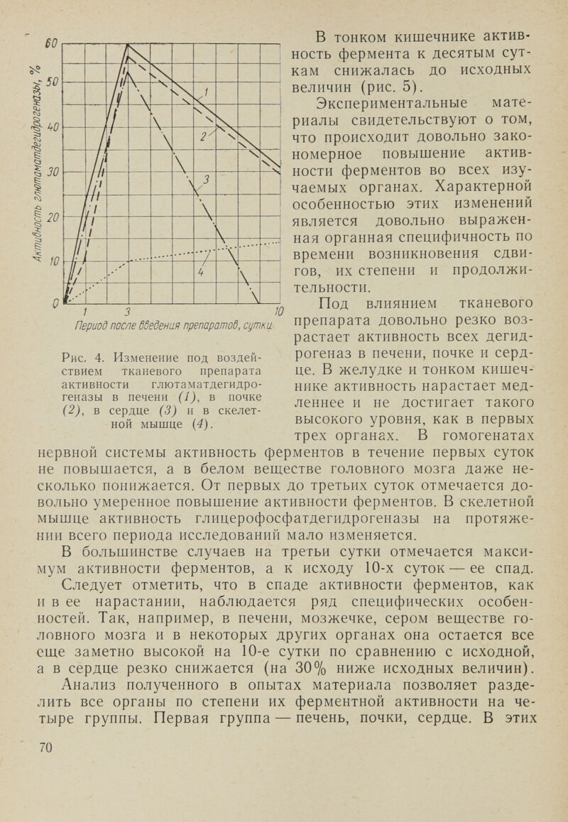 в тонком кишечнике актив¬ ность фермента к десятым сут¬ кам снижалась до исходных величин (рис. 5). Экспериментальные мате¬ риалы свидетельствуют о том, что происходит довольно зако¬ номерное повышение актив¬ ности ферментов во всех изу¬ чаемых органах. Характерной особенностью этих изменений является довольно выражен¬ ная органная специфичность по времени возникновения сдви¬ гов, их степени и продолжи¬ тельности. Под влиянием тканевого препарата довольно резко воз¬ растает активность всех дегид- рогеназ в печени, почке и серд¬ це. В желудке и тонком кишеч¬ нике активность нарастает мед¬ леннее и не достигает такого высокого уровня, как в первых трех органах. В гомогенатах нервной системы активность ферментов в течение первых суток не повышается, а в белом веществе головного мозга даже не¬ сколько понижается. От первых до третьих суток отмечается до¬ вольно умеренное повышение активности ферментов. В скелетной мышце активность глицерофосфатдегидрогеназы на протяже¬ нии всего периода исследований мало изменяется. В большинстве случаев на третьи сутки отмечается макси¬ мум активности ферментов, а к исходу 10-х суток — ее спад. Следует отметить, что в спаде активности ферментов, как и в ее нарастании, наблюдается ряд специфических особен¬ ностей. Так, например, в печени, мозжечке, сером веществе го¬ ловного мозга и в некоторых других органах она остается все еще заметно высокой на 10-е сутки по сравнению с исходной, а в сердце резко снижается (на 30% ниже исходных величин). Анализ полученного в опытах материала позволяет разде¬ лить все органы по степени их ферментной активности на че¬ тыре группы. Первая группа — печень, почки, сердце. В этих 60 -50 I ■1- hO I I 30 I i 20 I I w 1 3 Период после ббедения препаратоб, сутки Ю Рис. 4. Изменение под воздей¬ ствием тканевого препарата активности глютаматдегидро- геназы в печени (1), в почке (2), в сердце (3) и в скелет¬ ной мышце {4). 70