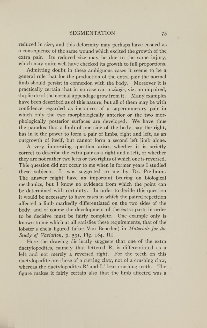 SEGMENTATION 75 reduced in size, and this deformity may perhaps have ensued as a consequence of the same wound which excited the growth of the extra pair. Its reduced size may be due to the same injury, which may quite well have checked its growth to full proportions. Admitting doubt in these ambiguous cases it seems to be a general rule that for the production of the extra pair the normal limb should persist in connexion with the body. Moreover it is practically certain that in no case can a single, viz. an unpaired, duplicate of the normal appendage grow from it. Many examples have been described as of this nature, but all of them may be with confidence regarded as instances of a supernumerary pair in which only the two morphologically anterior or the two mor¬ phologically posterior surfaces are developed. We have thus the paradox that a limb of one side of the body, say the right, has in it the power to form a pair of limbs, right and left, as an outgrowth of itself, but cannot form a second left limb alone. A very interesting question arises whether it is strictly correct to describe the extra pair as a right and a left, or whether they are not rather two lefts or two rights of which one is reversed. This question did not occur to me when in former years I studied these subjects. It was suggested to me by Dr. Przibram. The answer might have an important bearing on biological mechanics, but I know no evidence from which the point can be determined with certainty. In order to decide this question it would be necessary to have cases in which the paired repetition affected a limb markedly differentiated on the two sides of the body, and of course the development of the extra parts in order to be decisive must be fairly complete. One example only is known to me which at all satisfies these requirements, that of the lobster's chela figured (after Van Beneden) in Materials for the Study of Variation, p. 531, Fig. 184, III. Here the drawing distinctly suggests that one of the extra dactylopodites, namely that lettered R, is differentiated as a left and not merely a reversed right. For the teeth on this dactylopodite are those of a cutting claw, not of a crushing claw, whereas the dactylopodites R' and L' bear crushing teeth. The figure makes it fairly certain also that the limb affected was a