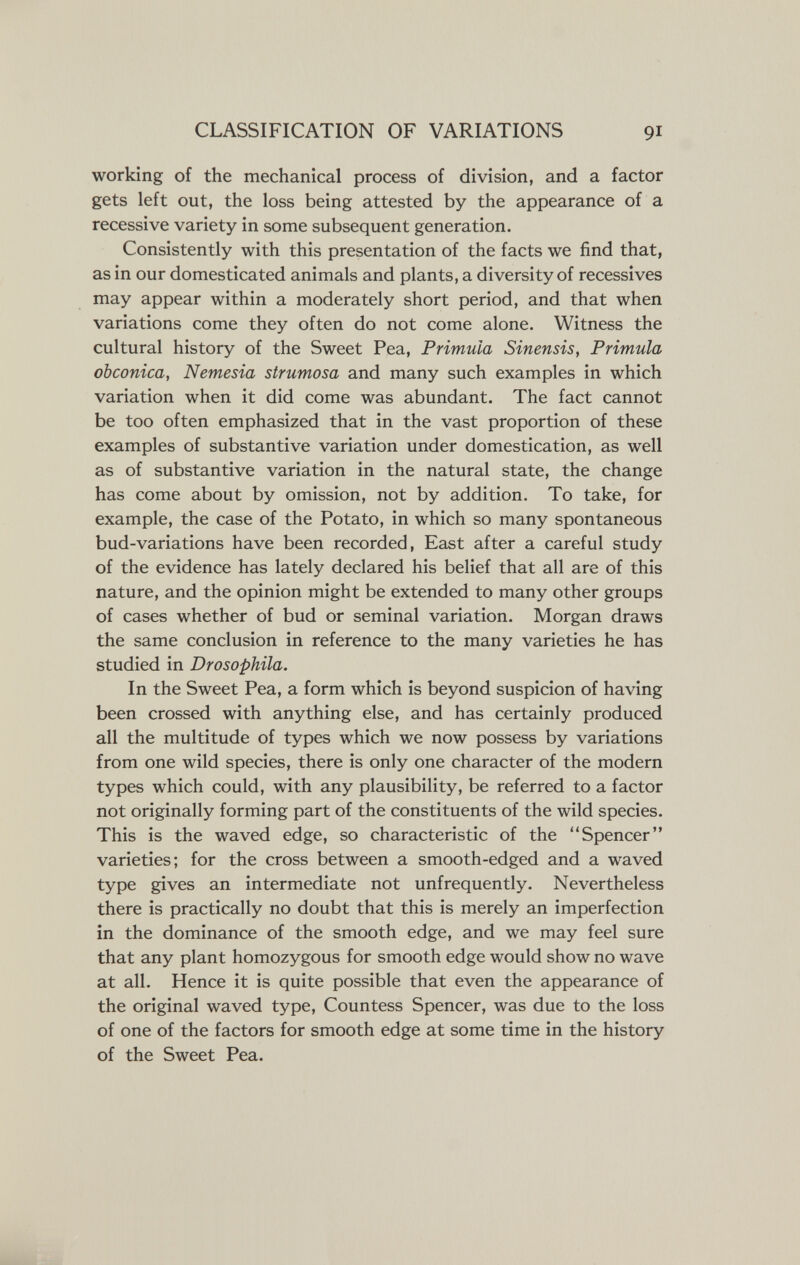 CLASSIFICATION OF VARIATIONS 91 working of the mechanical process of division, and a factor gets left out, the loss being attested by the appearance of a recessive variety in some subsequent generation. Consistently with this presentation of the facts we find that, as in our domesticated animals and plants, a diversity of récessives may appear within a moderately short period, and that when variations come they often do not come alone. Witness the cultural history of the Sweet Pea, Primula Sinensis, Primula obconica, Nemesia strumosa and many such examples in which variation when it did come was abundant. The fact cannot be too often emphasized that in the vast proportion of these examples of substantive variation under domestication, as well as of substantive variation in the natural state, the change has come about by omission, not by addition. To take, for example, the case of the Potato, in which so many spontaneous bud-variations have been recorded, East after a careful study of the evidence has lately declared his belief that all are of this nature, and the opinion might be extended to many other groups of cases whether of bud or seminal variation. Morgan draws the same conclusion in reference to the many varieties he has studied in Drosophila. In the Sweet Pea, a form which is beyond suspicion of having been crossed with anything else, and has certainly produced all the multitude of types which we now possess by variations from one wild species, there is only one character of the modern types which could, with any plausibility, be referred to a factor not originally forming part of the constituents of the wild species. This is the waved edge, so characteristic of the Spencer varieties; for the cross between a smooth-edged and a waved type gives an intermediate not unfrequently. Nevertheless there is practically no doubt that this is merely an imperfection in the dominance of the smooth edge, and we may feel sure that any plant homozygous for smooth edge would show no wave at all. Hence it is quite possible that even the appearance of the original waved type, Countess Spencer, was due to the loss of one of the factors for smooth edge at some time in the history of the Sweet Pea.