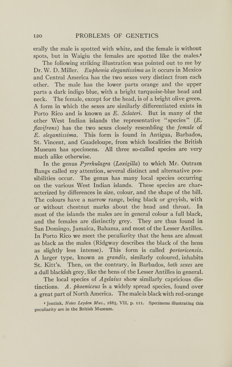 120 PROBLEMS OF GENETICS erally the male is spotted with white, and the female is without spots, but in Waigiu the females are spotted like the males.^ The following striking illustration was pointed out to me by Dr. W. D. Miller. Euphonia elegantissima as it occurs in Mexico and Central America has the two sexes very distinct from each other. The male has the lower parts orange and the upper parts a dark indigo blue, with a bright turquoise-blue head and neck. The female, except for the head, is of a bright olive green. A form in which the sexes are similarly differentiated exists in Porto Rico and is known as E. Sclateri. But in many of the other West Indian islands the representative species {E. flavifrons) has the two sexes closely resembling the female of E. elegantissima. This form is found in Antigua, Barbados, St. Vincent, and Guadeloupe, from which localities the British Museum has specimens. All three so-called species are very much alike otherwise. In the genus Pyrrhulagra {Loxigilla) to which Mr. Outram Bangs called my attention, several distinct and alternative pos¬ sibilities occur. The genus has many local species occurring on the various West Indian islands. These species are char¬ acterized by differences in size, colour, and the shape of the bill. The colours have a narrow range, being black or greyish, with or without chestnut marks about the head and throat. In most of the islands the males are in general colour a full black, and the females are distinctly grey. They are thus found in San Domingo, Jamaica, Bahama, and most of the Lesser Antilles. In Porto Rico we meet the peculiarity that the hens are almost as black as the males (Ridgway describes the black of the hens as slightly less intense). This form is called portoricensis. A larger type, known as grandis, similarly coloured, inhabits St. Kitt's. Then, on the contrary, in Barbados, both sexes are a dull blackish grey, like the hens of the Lesser Antilles in general. The local species of Agelaius show similarly capricious dis¬ tinctions. A. phoeniceus is a widely spread species, found over a great part of North America. The male is black with red-orange * Jentink, Notes Leyden Mus., 1885, VII, p. III. Specimens Ulustrating this peculiarity are in the British Museum.