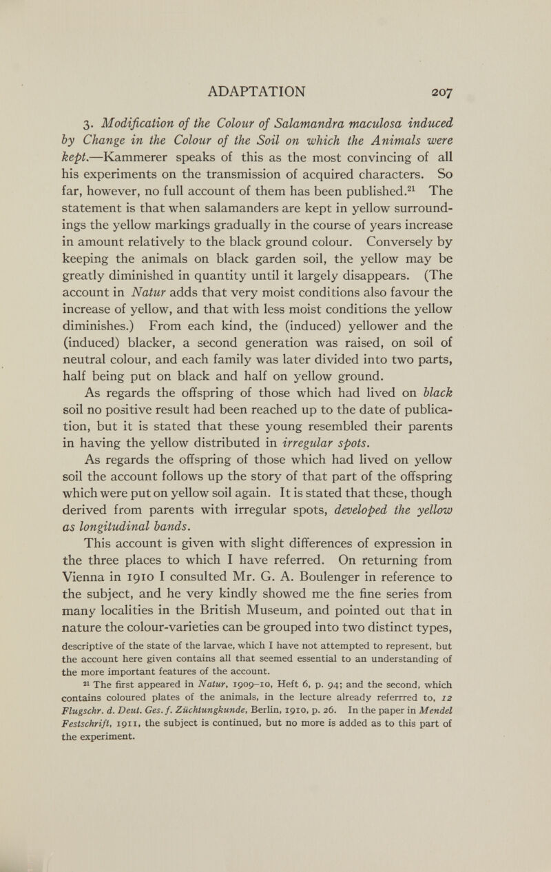 ADAPTATION 207 3. Modification of the Colour of Salamandra maculosa induced by Change in the Colour of the Soil on which the Animals were kept.—Kammerer speaks of this as the most convincing of all his experiments on the transmission of acquired characters. So far, however, no full account of them has been published.The statement is that when salamanders are kept in yellow surround¬ ings the yellow markings gradually in the course of years increase in amount relatively to the black ground colour. Conversely by keeping the animals on black garden soil, the yellow may be greatly diminished in quantity until it largely disappears. (The account in Natur adds that very moist conditions also favour the increase of yellow, and that with less moist conditions the yellow diminishes.) From each kind, the (induced) yellower and the (induced) blacker, a second generation was raised, on soil of neutral colour, and each family was later divided into two parts, half being put on black and half on yellow ground. As regards the offspring of those which had lived on black soil no positive result had been reached up to the date of publica¬ tion, but it is stated that these young resembled their parents in having the yellow distributed in irregular spots. As regards the offspring of those which had lived on yellow soil the account follows up the story of that part of the offspring which were put on yellow soil again. It is stated that these, though derived from parents with irregular spots, developed the yellow as longitudinal bands. This account is given with slight differences of expression in the three places to which I have referred. On returning from Vienna in 1910 I consulted Mr. G, A. Boulenger in reference to the subject, and he very kindly showed me the fine series from many localities in the British Museum, and pointed out that in nature the colour-varieties can be grouped into two distinct types, descriptive of the state of the larvae, which I have not attempted to represent, but the account here given contains all that seemed essential to an understanding of the more important features of the account. 21 The first appeared in Natur, 1909-10, Heft 6, p. 94; and the second, which contains coloured plates of the animals, in the lecture already referrred to, 12 Flugschr. d. Deut. Ges.f. Züchtungkunde, Berlin, 1910, p. 26. In the paper in Mendel Festschrift, 1911, the subject is continued, but no more is added as to this part of the experiment.