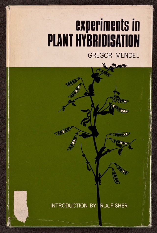 digitised image 1