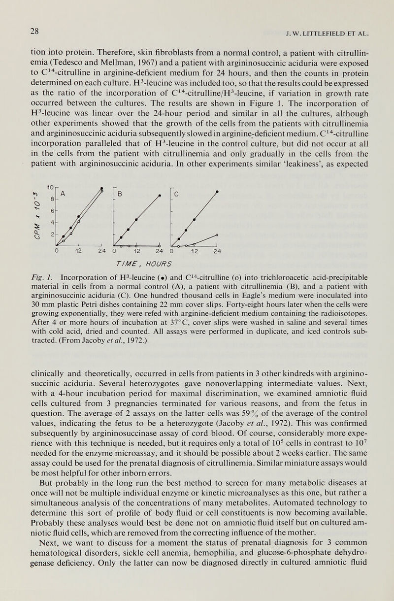 28 J. W. LITTLEFIELD ET AL. tion into protein. Therefore, skin fibroblasts from a normal control, a patient with citrullin- emia (Tedesco and Mellman, 1967) and a patient with argininosuccinic aciduria were exposed to C^'^-citrulline in arginine-deficient medium for 24 hours, and then the counts in protein determined on each culture. H^-leucine was included too, so that the results could be expressed as the ratio of the incorporation of C^'^-citrulline/H^-leucine, if variation in growth rate occurred between the cultures. The results are shown in Figure 1. The incorporation of H^-leucine was linear over the 24-hour period and similar in all the cultures, although other experiments showed that the growth of the cells from the patients with citrullinemia and argininosuccinic aciduria subsequently slowed in arginine-deficient medium. C^-citrulline incorporation paralleled that of H^-leucine in the control culture, but did not occur at all in the cells from the patient with citrullinemia and only gradually in the cells from the patient with argininosuccinic aciduria. In other experiments similar 'leakiness', as expected Fig. 1. Incorporation of H^-leucine (•) and C^'^-citrulline (о) into trichloroacetic acid-precipitable material in cells from a normal control (A), a patient with citrullinemia (B), and a patient with argininosuccinic aciduria (C). One hundred thousand cells in Eagle's medium were inoculated into 30 mm plastic Petri dishes containing 22 mm cover slips. Forty-eight hours later when the cells were growing exponentially, they were refed with arginine-deficient medium containing the radioisotopes. After 4 or more hours of incubation at 37° C, cover slips were washed in saline and several times with cold acid, dried and counted. All assays were performed in duplicate, and iced controls sub¬ tracted. (From Jacoby et al., 1972.) clinically and theoretically, occurred in cells from patients in 3 other kindreds with arginino¬ succinic aciduria. Several heterozygotes gave nono veri apping intermediate values. Next, with a 4-hour incubation period for maximal discrimination, we examined amniotic ñuid cells cultured from 3 pregnancies terminated for various reasons, and from the fetus in question. The average of 2 assays on the latter cells was 59 % of the average of the control values, indicating the fetus to be a heterozygote (Jacoby et al., 1972). This was confirmed subsequently by argininosuccinase assay of cord blood. Of course, considerably more expe¬ rience with this technique is needed, but it requires only a total of 10® cells in contrast to lO' needed for the enzyme microassay, and it should be possible about 2 weeks earlier. The same assay could be used for the prenatal diagnosis of citrullinemia. Similar miniature assays would be most helpful for other inborn errors. But probably in the long run the best method to screen for many metabolic diseases at once will not be multiple individual enzyme or kinetic microanalyses as this one, but rather a simultaneous analysis of the concentrations of many metabolites. Automated technology to determine this sort of profile of body fluid or cell constituents is now becoming available. Probably these analyses would best be done not on amniotic fluid itself but on cultured am¬ niotic fluid cells, which are removed from the correcting influence of the mother. Next, we want to discuss for a moment the status of prenatal diagnosis for 3 common hematological disorders, sickle cell anemia, hemophilia, and glucose-6-phosphate dehydro¬ genase deficiency. Only the latter can now be diagnosed directly in cultured amniotic fluid 1 ' I' Ü о ¿ ¿ 1^—о—о— 1 о 12 24 О 12 24 О 12 24 TIME, HOURS