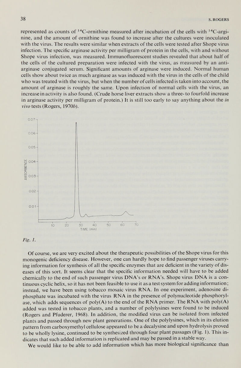 38 s. ROGERS represented as counts of ''^C-ornithine measured after incubation of the cells with ^C-argi- nine, and the amount of ornithine was found to increase after the cultures were inoculated with the virus. The results were similar when extracts of the cells were tested after Shope virus infection. The specific arginase activity per milligram of protein in the cells, with and without Shope virus infection, was measured. Immunofluorescent studies revealed that about half of the cells of the cultured preparation were infected with the virus, as mieasured by an anti- arginase conjugated serum. Significant amounts of arginase were induced. Normal human cells show about twice as much arginase as was induced with the virus in the cells of the child who was treated with the virus, but when the number of cells infected is taken into account, the amount of arginase is roughly the same. Upon infection of normal cells with the virus, an increase in activity is also found. (Crude horse liver extracts show a three- to fourfold increase in arginase activity per milligram of protein.) It is still too early to say anything about the in vivo tests (Rogers, 19706). 0.07-, 0,06- 0.05- 0.04- О m 0.03- < 0.02- 0.01- 10 20 ~bÖ 4Ö~ TIME (min) —i— 50 60 70 Fig. 1. Of course, we are very excited about the therapeutic possibilities of the Shope virus for this monogenic deficiency disease. However, one can hardly hope to find passenger viruses carry¬ ing information for synthesis of all the specific enzymes that are deficient in the variety of dis¬ eases of this sort. It seems clear that the specific information needed will have to be added chemically to the end of such passenger virus DNA's or RNA's. Shope virus DNA is a con¬ tinuous cyclic helix, so it has not been feasible to use it as a test system for adding information ; instead, we have been using tobacco mosaic virus RNA. In one experiment, adenosine di¬ phosphate was incubated with the virus RNA in the presence of polynucleotide Phosphoryl¬ ase, which adds sequences of poly(A) to the end of the RNA primer. The RNA with poly(A) added was tested in tobacco plants, and a number of polylysines were found to be induced (Rogers and Pfuderer, 1968). In addition, the modified virus can be isolated from infected plants and passed through new plant generations. One of the polylysines, which in its elution pattern from carboxymethyl cellulose appeared to be a decalysine and upon hydrolysis proved to be wholly lysine, continued to be synthesized through four plant passages (Fig. 1). This in¬ dicates that such added information is replicated and may be passed in a stable way. We would like to be able to add information which has more biological significance than