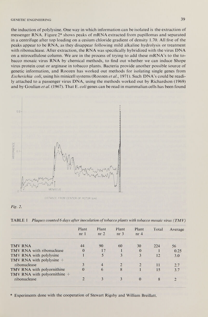 GENETIC ENGINEERING 39 the induction of polylysine. One way in which information can be isolated is the extraction of messenger RNA. Figure 2* shows peales of mRNA extracted from papillomas and separated in a centrifuge after top loading on a cesium chloride gradient of density 1.70. All five of the peaks appear to be RNA, as they disappear following mild alkaline hydrolysis or treatment with ribonuclease. After extraction, the RNA was specifically hybridized with the virus DNA on a nitrocellulose column. We are in the process of trying to add these mRNA's to the to¬ bacco mosaic virus RNA by chemical methods, to find out whether we can induce Shope virus protein coat or arginase in tobacco plants. Bacteria provide another possible source of genetic information, and Roozen has worked out methods for isolating single genes from Escherichia coli, using his miniceli systems (Roozen et al., 1971). Such DNA's could be readi¬ ly attached to a passenger virus DNA, using the methods worked out by Richardson (1969) and by Goulian et al. (1967). That E. coli genes can be read in mammalian cells has been found DISTANCE FROM CENTER OF ROTOR (cm) Fig. 2. TABLE 1 Plaques counted 6 days after inoculation of tobacco plants with tobacco mosaic virus (TMV) Plant Plant Plant Plant Total Average nr 1 nr 2 nr 3 nr 4 * Experiments done with the cooperation of Stewart Rigsby and William Breillatt.