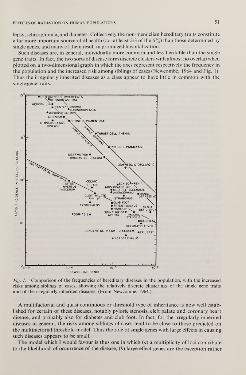 EFFECTS OF RADIATION ON HUMAN POPULATIONS 51 lepsy, schizophrenia, and diabetes. Collectively the non-mendelian hereditary traits constitute a far more important source of ill health {i.e. at least 2/3 of the 6%) than those determined by single genes, and many of them result in prolonged hospitalization. Such diseases are, in general, individually more common and less heritable than the single gene traits. In fact, the two sorts of disease form discrete clusters with almost no overlap when plotted on a two-dimensional graph in which the axes represent respectively the frequency in the population and the increased risk among siblings of cases (Newcombe, 1964 and Fig. 1). Thus the irregularly inherited diseases as a class appear to have little in common with the single gene traits. I0~ • osteogenesis imperfecta n^retinoslastoma hemophilia* \ »phenylketonuria \ »achondroplasia •microphthalmos albinism •, hirschsprurtò disease \ • RtTlNlTiS PIGMENTOSA \ ^ •TARGET CELL ANEMIA 10^ 10' OEAFMUTISM« FIBROCYSTIC DISEASE CLEFT PALATE lixrt hp) ^SCHIZOPHRENIA DISLOCATED HIP \ • MULTIPLE SCLEROSIS • ANENCEPHALY STRAB^MUS OPPRESSIVE • «CLUB FOOT \ EXOMPHALOS • PATENT DUCTUS ^.g^^AL • HARELIP \ DEFICIENCYl SPINA BIFIDA^ • • PSORIASIS^ APERTA PYLORIC ^ STENOSIS • DIABETES RHEUMATIC FEVER Z CONGENITAL HEART DISEASEi • EPILEPSY HYDROCEPHALUS 10  ' ' I05 io-< DISEASE I0-Î 10-2 INCIDENCE Fig. 1. Comparison of the frequencies of hereditary diseases in the population, with the increased risks among siblings of cases, showing the relatively discrete clusterings of the single gene traits and of the irregularly inherited diseases. (From Newcombe, 1964.) A multifactorial and quasi continuous or threshold type of inheritance is now well estab¬ lished for certain of these diseases, notably pyloric stenosis, cleft palate and coronary heart disease, and probably also for diabetes and club foot. In fact, for the irregularly inherited diseases in general, the risks among siblings of cases tend to be close to those predicted on the multifactorial threshold model. Thus the role of single genes with large effects in causing such diseases appears to be small. The model which I would favour is thus one in which (a) a multiplicity of loci contribute to the likelihood of occurrence of the disease, {b) large-effect genes are the exception rather