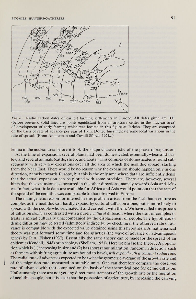 pygmies; hunters-gatherers 91 Fig. 6. Radio carbon dates of earliest farming settlements in Europe. All dates given are B.P. (before present). Solid lines are points equidistant from an arbitrary center in the 'nuclear area' of development of early farming which was located in this figure at Jericho. They are computed on the basis of rate of advance per year of 1 km. Dotted lines indicate some local variations in the rate of spread. (From Ammerman and Cavalli-Sforza, 1971a.) lennia in the nuclear area before it took the shape characteristic of the phase of expansion. At the time of expansion, several plants had been domesticated, essentially wheat and bar¬ ley, and several animals (cattle, sheep, and goats). This complex of domesticates is found sub¬ sequently with very few exceptions over all the area to which the neolithic spread, starting from the Near East. There would be no reason why the expansion should happen only in one direction, namely towards Europe, but this is the only area where data are sufficiently dense that the actual expansion can be plotted with some precision. There are, however, several hints that the expansion also occurred in the other directions, namely towards Asia and Afri¬ ca. In fact, what little data are available for Africa and Asia would point out that the rate of the spread of the neolithic was comparable to that observed in Europe. The main genetic reason for interest in this problem arises from the fact that a culture as complex as the neolithic can hardly expand by cultural diffusion alone, but is more likely to spread with the people who originated it and carried it with them. We have called this process of diffusion demie as contrasted with a purely eultural diffusion where the trait or complex of traits is spread culturally unaccompanied by the displacement of people. The hypothesis of demie diffusion may be tested (admittedly indirectly) by checking if the observed rate of ad¬ vance is compatible with the expected value obtained using this hypothesis. A mathematical theory was put forward some time ago for genetics (the wave of advance of advantageous genes) by R.A. Fisher (1937). Essentially the same theory can be made for the spread of an epidemic (Kendall, 1948) or in ecology (Skellam, 1951). Here we phrase the theory: A popula¬ tion which is ( 1 ) increasing in size and (2) has short range migration, random in direction (such as farmers with shifting agriculture are bound to have), will expand with a constant radial rate. The radial rate of advance is expected to be twice the geometric average of the growth rate and I of the migration rate, measured in suitable units. One can therefore compare the observed rate of advance with that computed on the basis of the theoretical one for demie diffusion. Unfortunately there are not yet any direct measurements of the growth rate or the migration of neolithic people, but it is clear that the possession of agriculture, by increasing the carrying