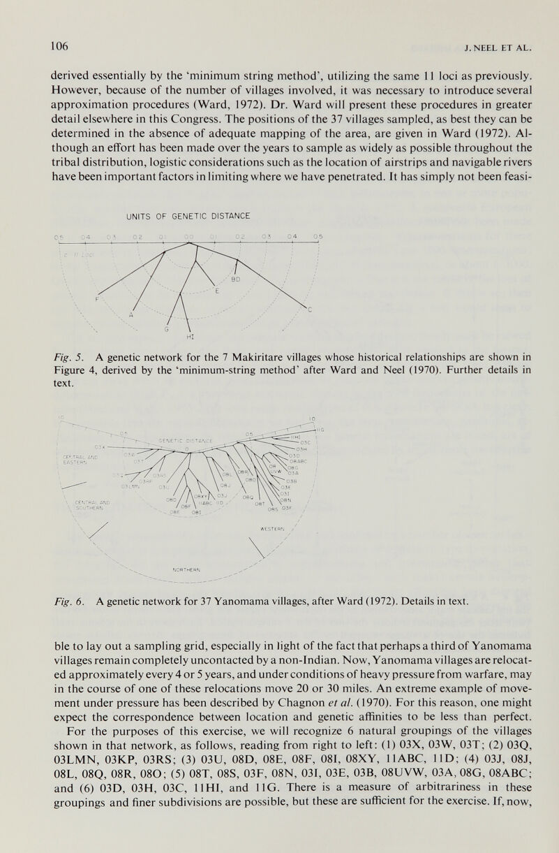 106 J.NEEL ET AL. derived essentially by the 'minimum string method', utilizing the same 11 loci as previously. However, because of the number of villages involved, it was necessary to introduce several approximation procedures (Ward, 1972). Dr. Ward will present these procedures in greater detail elsewhere in this Congress. The positions of the 37 villages sampled, as best they can be determined in the absence of adequate mapping of the area, are given in Ward (1972). Al¬ though an effort has been made over the years to sample as widely as possible throughout the tribal distribution, logistic considerations such as the location of airstrips and navigable rivers have been important factors in limiting where we have penetrated. It has simply not been feasi- UNITS OF GENETIC DISTANCE Fig. 5. A genetic network for the 7 Makiritare villages whose historical relationships are shown in Figure 4, derived by the 'minimum-string method' after Ward and Neel (1970). Further details in text. Fig. 6. A genetic network for 37 Yanomama villages, after Ward (1972). Details in text. ble to lay out a sampling grid, especially in light of the fact that perhaps a third of Yanomama villages remain completely uncontacted by a non-Indian. Now, Yanomama villages are relocat¬ ed approximately every 4 or 5 years, and under conditions of heavy pressure from warfare, may in the course of one of these relocations move 20 or 30 miles. An extreme example of move¬ ment under pressure has been described by Chagnon et al. (1970). For this reason, one might expect the correspondence between location and genetic affinities to be less than perfect. For the purposes of this exercise, we will recognize 6 natural groupings of the villages shown in that network, as follows, reading from right to left: (1) 03X, 03W, 03T; (2) 03Q, 03LMN, 03KP, 03RS; (3) 03U, 08D, 08E, 08F, OSI, 08XY, 11 ABC, IID; (4) 03J, 08J, 08L, 08Q, 08R, 08O; (5) 08T, 08S, 03F, 08N, 031, 03E, 03B, 08UVW, 03A, 08G, 08ABC; and (6) 03D, 03H, 03C, UHI, and IIG. There is a measure of arbitrariness in these groupings and finer subdivisions are possible, but these are sufficient for the exercise. If, now.