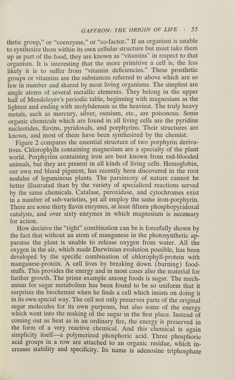 thetic group,” or “coenzyme,” or “co-factor.” If an organism is unable to synthesize them within its own cellular structure but must take them up as part of the food, they are known as “vitamins” in respect to that organism. It is interesting that the more primitive a cell is, the less likely it is to suffer from “vitamin deficiencies.” These prosthetic groups or vitamins are the substances referred to above which are so few in number and shared by most living organisms. The simplest are single atoms of several metallic elements. They belong in the upper half of Mendeleyev’s periodic table, beginning with magnesium as the lightest and ending with molybdenum as the heaviest. The truly heavy metals, such as mercury, silver, osmium, etc., are poisonous. Some organic chemicals which are found in all living cells are the pyridine nucleotides, flavins, pyridoxals, and porphyrins. Their structures are known, and most of them have been synthesized by the chemist. Figure 2 compares the essential structure of two porphyrin deriva tives. Chlorophylls containing magnesium are a specialty of the plant world. Porphyrins containing iron are best known from red-blooded animals, but they are present in all kinds of living cells. Hemoglobin, our own red blood pigment, has recently been discovered in the root nodules of leguminous plants. The parsimony of nature cannot be better illustrated than by the variety of specialized reactions served by the same chemicals. Catalase, peroxidase, and cytochromes exist in a number of sub-varieties, yet all employ the same iron-porphyrin. There are some thirty flavin enzymes, at least fifteen phosphopyridoxal catalysts, and over sixty enzymes in which magnesium is necessary for action. How decisive the “right” combination can be is forcefully shown by the fact that without an atom of manganese in the photosynthetic ap paratus the plant is unable to release oxygen from water. All the oxygen in the air, which made Darwinian evolution possible, has been developed by the specific combination of chlorophyll-protein with manganese-protein. A cell lives by breaking down (burning) food stuffs. This provides the energy and in most cases also the material for further growth. The prime example among foods is sugar. The mech anism for sugar metabolism has been found to be so uniform that it surprises the biochemist when he finds a cell which insists on doing it in its own special way. The cell not only preserves parts of the original sugar molecules for its own purposes, but also some of the energy which went into the making of the sugar in the first place. Instead of coming out as heat as in an ordinary fire, the energy is preserved in the form of a very reactive chemical. And this chemical is again simplicity itself—a polymerized phosphoric acid. Three phosphoric acid groups in a row are attached to an organic residue, which in creases stability and specificity. Its name is adenosine triphosphate