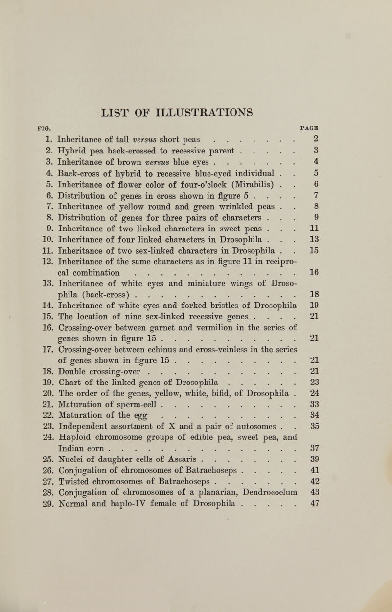 LIST OF ILLUSTRATIONS FIG. PAGE 1. Inheritance of tall versus short peas 2 2. Hybrid pea back-crossed to recessive parent 3 3. Inheritance of brown versus blue eyes 4 4. Back-cross of hybrid to recessive blue-eyed individual . . 5 5. Inheritance of flower color of four-o'clock (Mirabilis) . . 6 6. Distribution of genes in cross shown in figure 5 ... . 7 7. Inheritance of yellow round and green wrinkled peas . . 8 8. Distribution of genes for three pairs of characters ... 9 9. Inheritance of two linked characters in sweet peas ... 11 10. Inheritance of four linked characters in Drosophila ... 13 11. Inheritance of two sex-linked characters in Drosophila . . 15 12. Inheritance of the same characters as in figure 11 in recipro¬ cal combination 16 13. Inheritance of white eyes and miniature wings of Droso¬ phila (back-cross) 18 14. Inheritance of white eyes and forked bristles of Drosophila 19 15. The location of nine sex-linked recessive genes .... 21 16. Crossing-over betлveen garnet and vermilion in the series of genes shown in figure 15 21 17. Crossing-over between echinus and cross-veinless in the series of genes shown in figure 15 21 18. Double crossing-over 21 19. Chart of the linked genes of Drosophila 23 20. The order of the genes, yellow, white, bifid, of Drosophila . 24 21. Maturation of sperm-cell 33 22. Maturation of the egg 34 23. Independent assortment of X and a pair of autosomes . . 35 24. Haploid chromosome groups of edible pea, sweet pea, and Indian corn 37 25. Nuclei of daughter cells of Ascaris 39 26. Conjugation of chromosomes of Batrachoseps 41 27. Twisted chromosomes of Batrachoseps 42 28. Conjugation of chromosomes of a planarian, Dendrocoelum 43 29. Normal and haplo-IV female of Drosophila 47