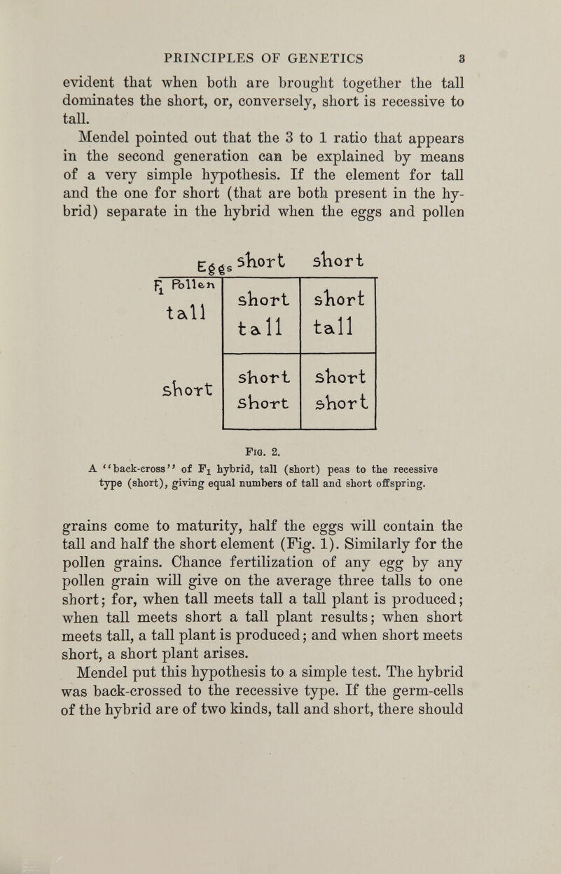 PRINCIPLES OF GENETICS 3 evident that when both are brought together the tall dominates the short, or, conversely, short is recessive to tall. Mendel pointed out that the 3 to 1 ratio that appears in the second generation can be explained by means of a very simple hypothesis. If the element for tall and the one for short (that are both present in the hy¬ brid) separate in the hybrid when the eggs and pollen Egg, short sbort Fig. 2. A back-cross of Fj hybrid, tall (short) peas to the recessive type (short), giving equal numbers of tall and short offspring. grains come to maturity, half the eggs will contain the tall and half the short element (Fig. 1). Similarly for the pollen grains. Chance fertilization of any egg by any pollen grain will give on the average three tails to one short ; for, when tall meets tall a tall plant is produced ; when tall meets short a tall plant results; when short meets tall, a tall plant is produced ; and when short meets short, a short plant arises. Mendel put this hypothesis to a simple test. The hybrid was back-crossed to the recessive type. If the germ-cells of the hybrid are of two kinds, tall and short, there should