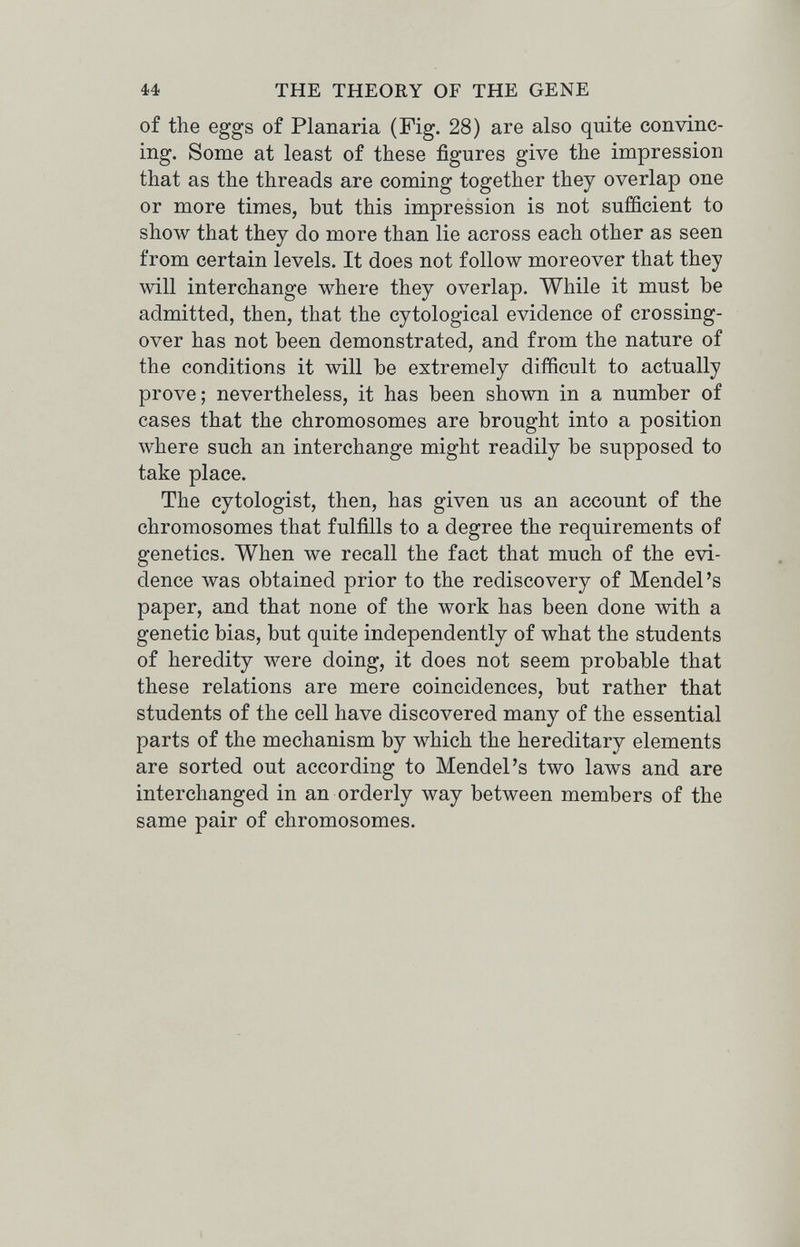 44 THE THEORY OF THE GENE of the eggs of Planaria (Fig. 28) are also quite convinc¬ ing. Some at least of these figures give the impression that as the threads are coming together they overlap one or more times, but this impression is not sufficient to show that they do more than lie across each other as seen from certain levels. It does not follow moreover that they will interchange where they overlap. While it must be admitted, then, that the cytological evidence of crossing- over has not been demonstrated, and from the nature of the conditions it will be extremely difficult to actually prove; nevertheless, it has been shown in a number of cases that the chromosomes are brought into a position where such an interchange might readily be supposed to take place. The cytologist, then, has given us an account of the chromosomes that fulfills to a degree the requirements of genetics. When we recall the fact that much of the evi¬ dence was obtained prior to the rediscovery of Mendel's paper, and that none of the work has been done with a genetic bias, but quite independently of what the students of heredity were doing, it does not seem probable that these relations are mere coincidences, but rather that students of the cell have discovered many of the essential parts of the mechanism by which the hereditary elements are sorted out according to Mendel's two laws and are interchanged in an orderly way between members of the same pair of chromosomes.