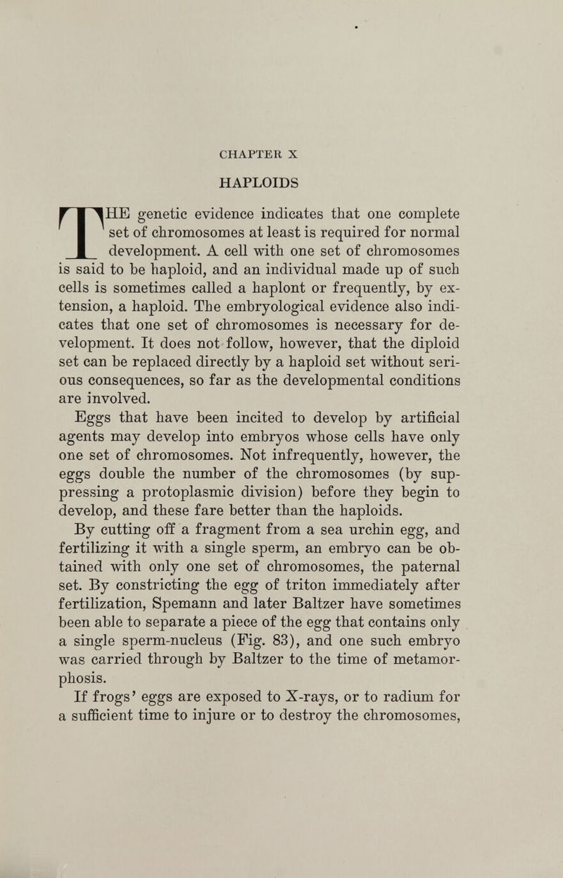 CHAPTER X HAPLOIDS THE genetic evidence indicates that one complete set of chromosomes at least is required for normal development. A cell with one set of chromosomes is said to be haploid, and an individual made up of such cells is sometimes called a haplont or frequently, by ex¬ tension, a haploid. The embryological evidence also indi¬ cates that one set of chromosomes is necessary for de¬ velopment. It does not follow, however, that the diploid set can be replaced directly by a haploid set without seri¬ ous consequences, so far as the developmental conditions are involved. Eggs that have been incited to develop by artificial agents may develop into embryos whose cells have only one set of chromosomes. Not infrequently, however, the eggs double the number of the chromosomes (by sup¬ pressing a protoplasmic division) before they begin to develop, and these fare better than the haploids. By cutting off a fragment from a sea urchin egg, and fertilizing it with a single sperm, an embryo can be ob¬ tained with only one set of chromosomes, the paternal set. By constricting the egg of triton immediately after fertilization, Spemann and later Baltzer have sometimes been able to separate a piece of the egg that contains only a single sperm-nucleus (Fig. 83), and one such embryo was carried through by Baltzer to the time of metamor¬ phosis. If frogs ' eggs are exposed to X-rays, or to radium for a sufficient time to injure or to destroy the chromosomes,