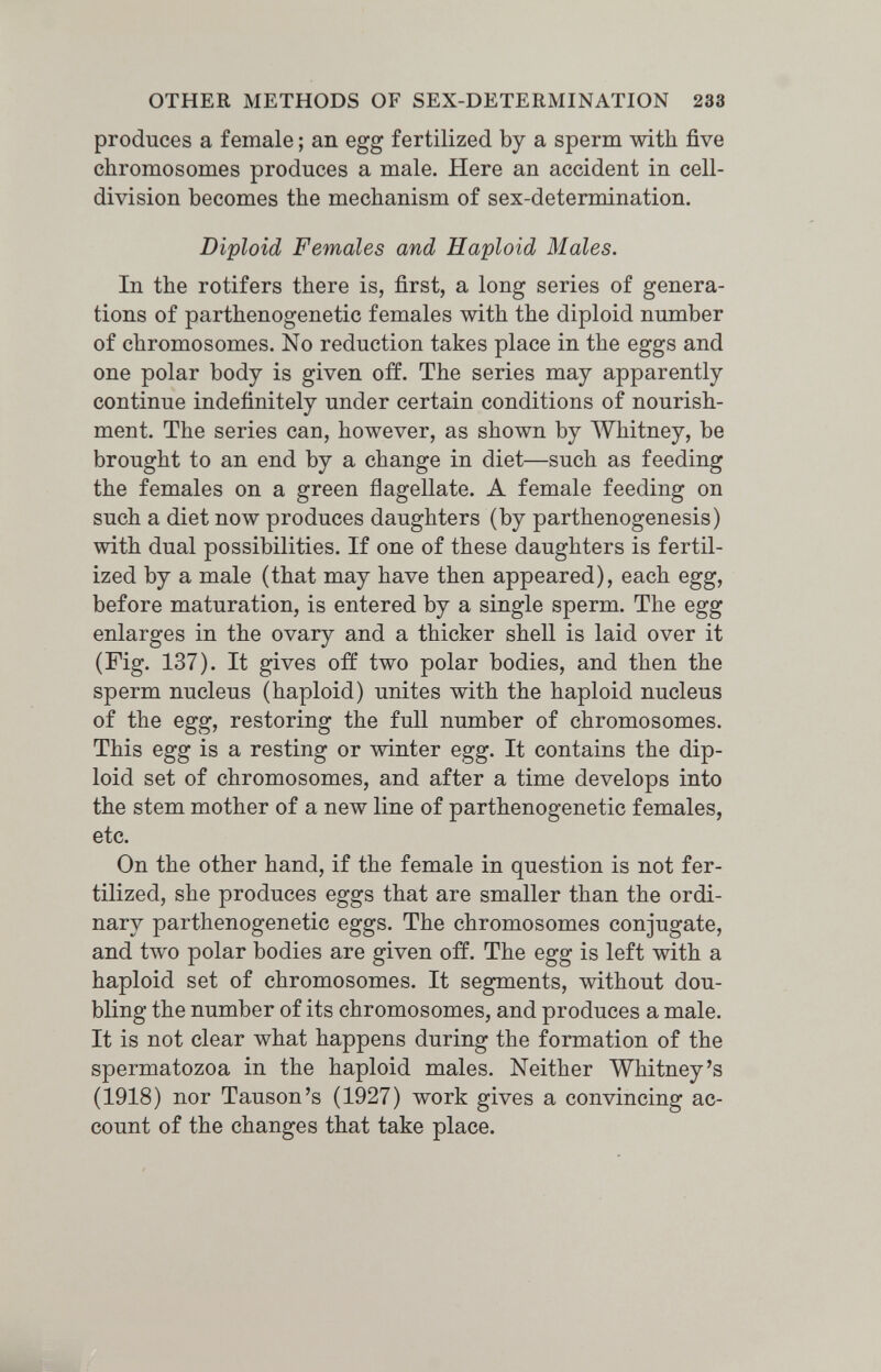 OTHER METHODS OF SEX-DETERMINATION 233 produces a female ; an egg fertilized by a sperm with five chromosomes produces a male. Here an accident in cell- division becomes the mechanism of sex-determination. Diploid Females and Haploid Males. In the rotifers there is, first, a long series of genera¬ tions of parthenogenetic females with the diploid number of chromosomes. No reduction takes place in the eggs and one polar body is given off. The series may apparently continue indefinitely under certain conditions of nourish¬ ment. The series can, however, as shown by Whitney, be brought to an end by a change in diet—such as feeding the females on a green flagellate. A female feeding on such a diet now produces daughters (by parthenogenesis) with dual possibilities. If one of these daughters is fertil¬ ized by a male (that may have then appeared), each egg, before maturation, is entered by a single sperm. The egg enlarges in the ovary and a thicker shell is laid over it (Fig. 137). It gives off two polar bodies, and then the sperm nucleus (haploid) unites with the haploid nucleus of the egg, restoring the full number of chromosomes. This egg is a resting or winter egg. It contains the dip¬ loid set of chromosomes, and after a time develops into the stem mother of a new line of parthenogenetic females, etc. On the other hand, if the female in question is not fer¬ tilized, she produces eggs that are smaller than the ordi¬ nary parthenogenetic eggs. The chromosomes conjugate, and two polar bodies are given off. The egg is left with a haploid set of chromosomes. It segments, without dou¬ bling the number of its chromosomes, and produces a male. It is not clear what happens during the formation of the spermatozoa in the haploid males. Neither Whitney's (1918) nor Tauson's (1927) work gives a convincing ac¬ count of the changes that take place.