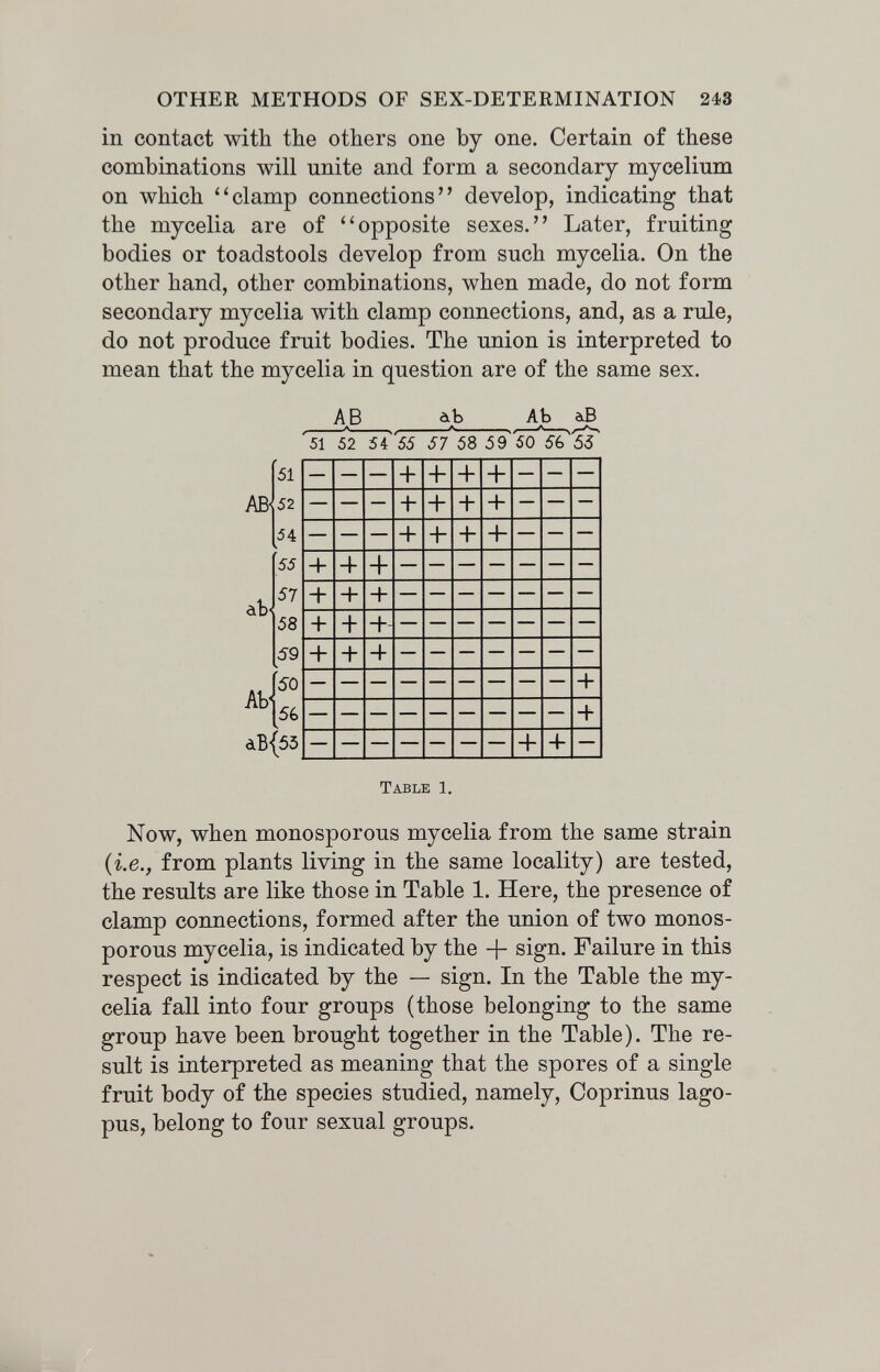 OTHER METHODS OF SEX-DETERMINATION 243 in contact with the others one by one. Certain of these combinations will unite and form a secondary mycelium on which ''clamp connections develop, indicating that the mycelia are of ''opposite sexes. Later, fruiting bodies or toadstools develop from such mycelia. On the other hand, other combinations, when made, do not form secondary mycelia with clamp connections, and, as a rule, do not produce fruit bodies. The union is interpreted to mean that the mycelia in question are of the same sex. A^B à.b Ab аВ '51 52 i i 65 57 58 59 50 56 55 Table 1. Now, when monosporous mycelia from the same strain {i.e., from plants living in the same locality) are tested, the results are like those in Table 1. Here, the presence of clamp connections, formed after the union of two monos¬ porous mycelia, is indicated by the -(- sign. Failure in this respect is indicated by the — sign. In the Table the my¬ celia fall into four groups (those belonging to the same group have been brought together in the Table). The re¬ sult is interpreted as meaning that the spores of a single fruit body of the species studied, namely, Coprinus lago- pus, belong to four sexual groups.