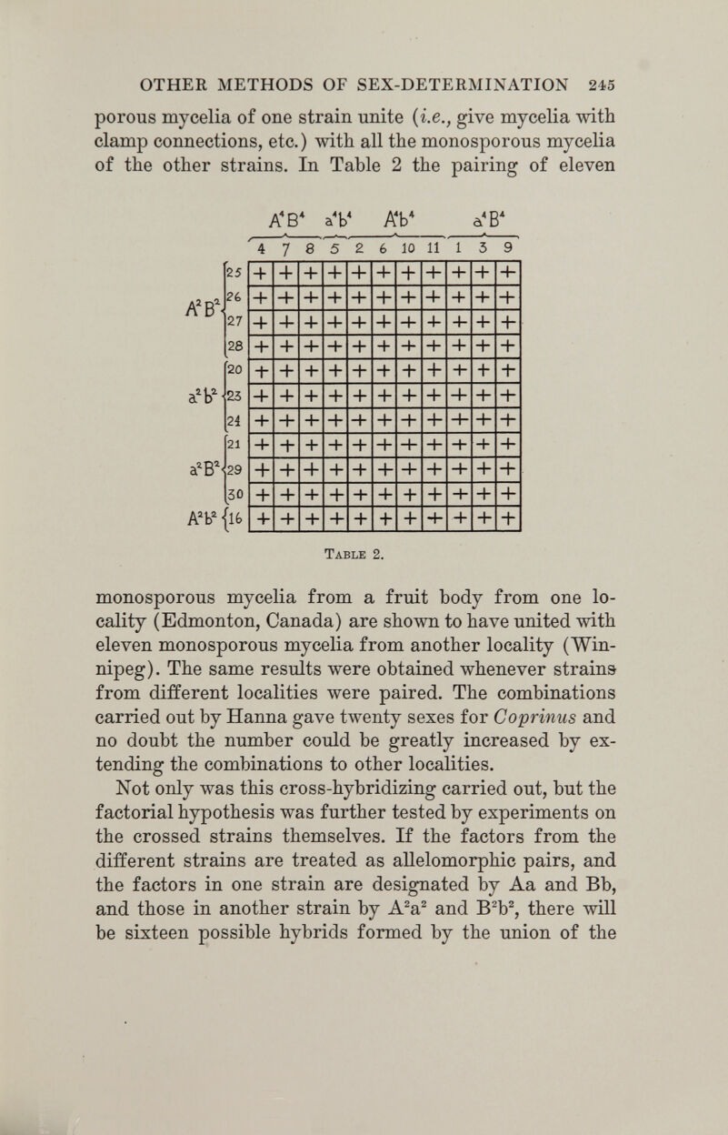 OTHER METHODS OF SEX-DETERMINATION 245 porous mycelia of one strain unite {i.e., give mycelia with clamp connections, etc.) with all the monosporous mycelia of the other strains. In Table 2 the pairing of eleven AV Table 2. monosporous mycelia from a fruit body from one lo¬ cality (Edmonton, Canada) are shown to have united with eleven monosporous mycelia from another locality (Win¬ nipeg). The same results were obtained whenever strains from different localities were paired. The combinations carried out by Hanna gave twenty sexes for Coprinus and no doubt the number could be greatly increased by ex¬ tending the combinations to other localities. Not only was this cross-hybridizing carried out, but the factorial hypothesis was further tested by experiments on the crossed strains themselves. If the factors from the different strains are treated as allelomorphic pairs, and the factors in one strain are designated by Aa and Bb, and those in another strain by A^a^ and B^b^, there will be sixteen possible hybrids formed by the union of the