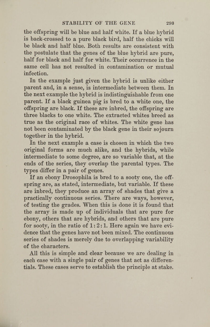 STABILITY OF THE GENE 293 the offspring will be blue and half white. If a blue hybrid is back-crossed to a pure black bird, half the chicks will be black and half blue. Both results are consistent with the postulate that the genes of the blue hybrid are pure, half for black and half for white. Their occurrence in the same cell has not resulted in contamination or mutual infection. In the example just given the hybrid is unlike either parent and, in a sense, is intermediate between them. In the next example the hybrid is indistinguishable from one parent. If a black guinea pig is bred to a white one, the offspring are black. If these are inbred, the offspring are three blacks to one white. The extracted whites breed as true as the original race of whites. The white gene has not been contaminated by the black gene in their sojourn together in the hybrid. In the next example a case is chosen in which the two original forms are much alike, and the hybrids, while intermediate to some degree, are so variable that, at the ends of the series, they overlap the parental types. The types differ in a pair of genes. If an ebony Drosophila is bred to a sooty one, the off¬ spring are, as stated, intermediate, but variable. If these are inbred, they produce an array of shades that give a practically continuous series. There are ways, however, of testing the grades. When this is done it is found that the array is made up of individuals that are pure for ebony, others that are hybrids, and others that are pure for sooty, in the ratio of 1: 2:1. Here again we have evi¬ dence that the genes have not been mixed. The continuous series of shades is merely due to overlapping variability of the characters. All this is simple and clear because we are dealing in each case with a single pair of genes that act as differen¬ tials. These cases serve to establish the principle at stake.