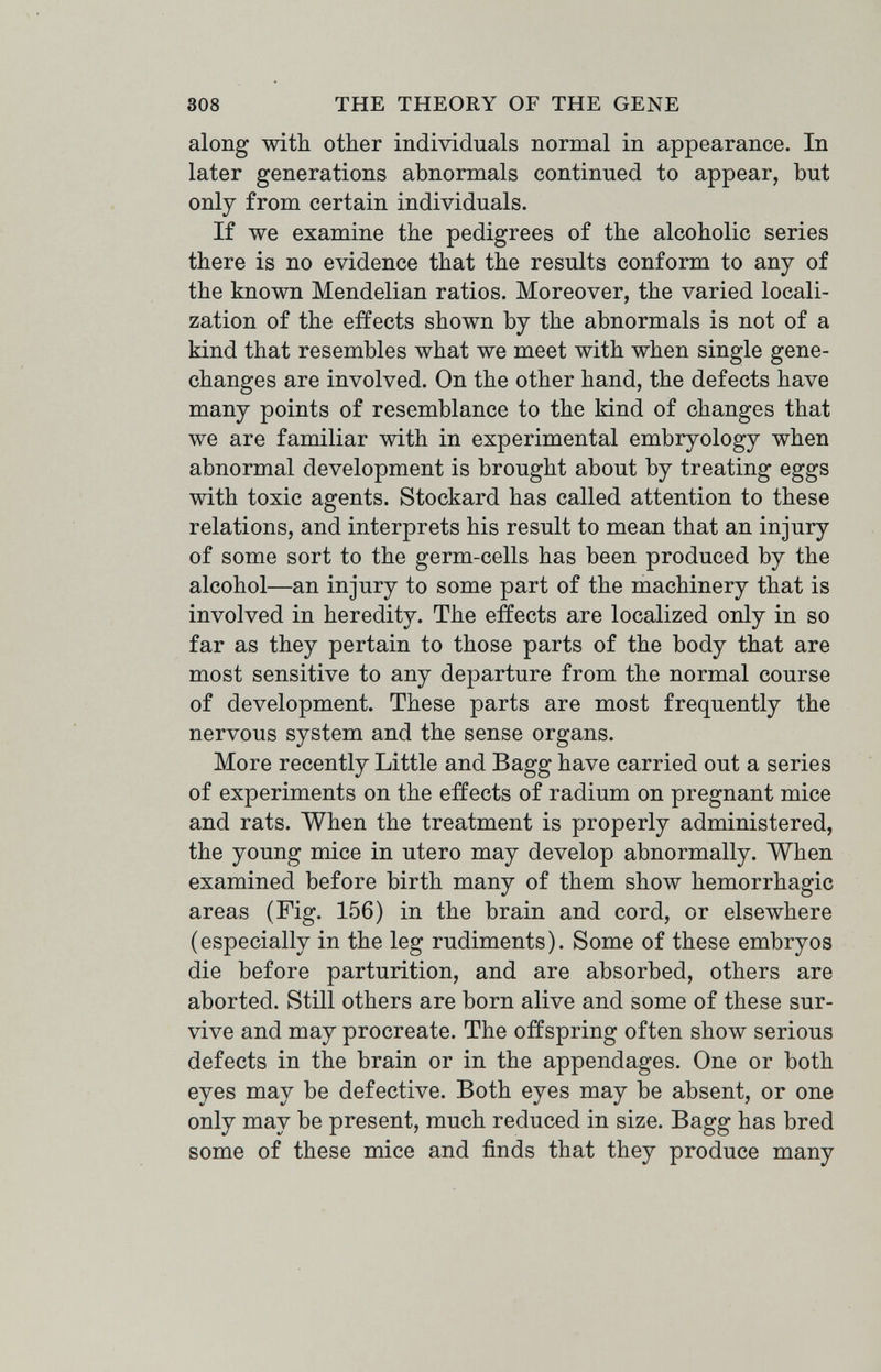 308 THE THEORY OF THE GENE along with other individuals normal in appearance. In later generations abnormals continued to appear, but only from certain individuals. If we examine the pedigrees of the alcoholic series there is no evidence that the results conform to any of the known Mendelian ratios. Moreover, the varied locali¬ zation of the effects shown by the abnormals is not of a kind that resembles what we meet with when single gene- changes are involved. On the other hand, the defects have many points of resemblance to the kind of changes that we are familiar with in experimental embryology when abnormal development is brought about by treating eggs with toxic agents. Stockard has called attention to these relations, and interprets his result to mean that an injury of some sort to the germ-cells has been produced by the alcohol—an injury to some part of the machinery that is involved in heredity. The effects are localized only in so far as they pertain to those parts of the body that are most sensitive to any departure from the normal course of development. These parts are most frequently the nervous system and the sense organs. More recently Little and Bagg have carried out a series of experiments on the effects of radium on pregnant mice and rats. When the treatment is properly administered, the young mice in utero may develop abnormally. When examined before birth many of them show hemorrhagic areas (Fig. 156) in the brain and cord, or elsewhere (especially in the leg rudiments). Some of these embryos die before parturition, and are absorbed, others are aborted. Still others are born alive and some of these sur¬ vive and may procreate. The offspring often show serious defects in the brain or in the appendages. One or both eyes may be defective. Both eyes may be absent, or one only may be present, much reduced in size. Bagg has bred some of these mice and finds that they produce many