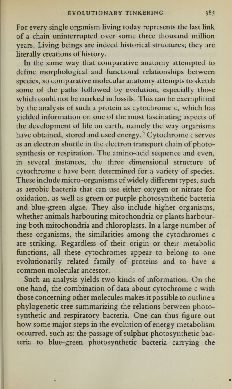 For every single organism living today represents the last link of a chain uninterrupted over some three thousand million years. Living beings are indeed historical structures; they are literally creations of history. In the same way that comparative anatomy attempted to define morphological and functional relationships between species, so comparative molecular anatomy attempts to sketch some of the paths followed by evolution, especially those which could not be marked in fossils. This can be exemplified by the analysis of such a protein as cytochrome c, which has yielded information on one of the most fascinating aspects of the development of life on earth, namely the way organisms have obtained, stored and used energy. 3 Cytochrome c serves as an electron shuttle in the electron transport chain of photo synthesis or respiration. The amino-acid sequence and even, in several instances, the three dimensional structure of cytochrome c have been determined for a variety of species. These include micro-organisms of widely different types, such as aerobic bacteria that can use either oxygen or nitrate for oxidation, as well as green or purple photosynthetic bacteria and blue-green algae. They also include higher organisms, whether animals harbouring mitochondria or plants harbour ing both mitochondria and chloroplasts. In a large number of these organisms, the similarities among the cytochromes c are striking. Regardless of their origin or their metabolic functions, all these cytochromes appear to belong to one evolutionarily related family of proteins and to have a common molecular ancestor. Such an analysis yields two kinds of information. On the one hand, the combination of data about cytochrome c with those concerning other molecules makes it possible to outline a phylogenetic tree summarizing the relations between photo synthetic and respiratory bacteria. One can thus figure out how some major steps in the evolution of energy metabolism occurred, such as: the passage of sulphur photosynthetic bac teria to blue-green photosynthetic bacteria carrying the