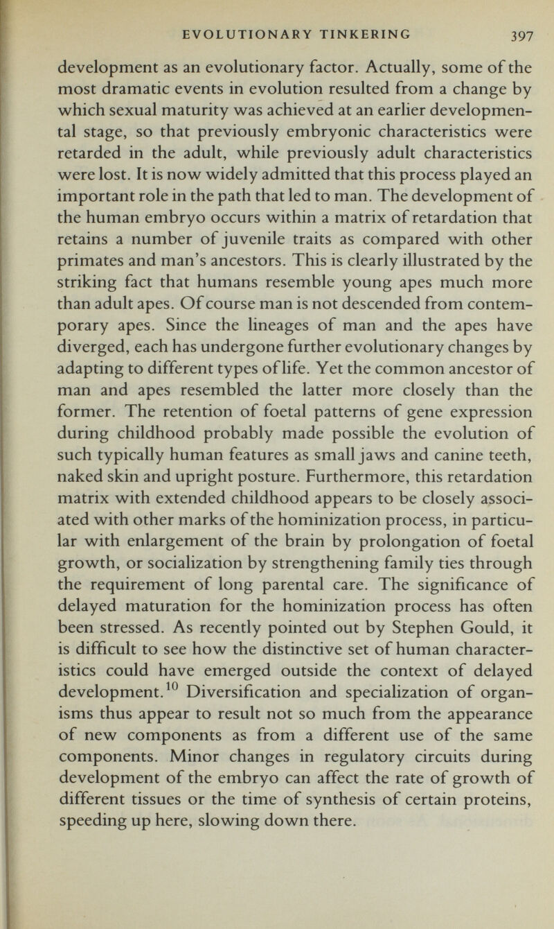 development as an evolutionary factor. Actually, some of the most dramatic events in evolution resulted from a change by which sexual maturity was achieved at an earlier developmen tal stage, so that previously embryonic characteristics were retarded in the adult, while previously adult characteristics were lost. It is now widely admitted that this process played an important role in the path that led to man. The development of the human embryo occurs within a matrix of retardation that retains a number of juvenile traits as compared with other primates and man’s ancestors. This is clearly illustrated by the striking fact that humans resemble young apes much more than adult apes. Of course man is not descended from contem porary apes. Since the lineages of man and the apes have diverged, each has undergone further evolutionary changes by adapting to different types of life. Yet the common ancestor of man and apes resembled the latter more closely than the former. The retention of foetal patterns of gene expression during childhood probably made possible the evolution of such typically human features as small jaws and canine teeth, naked skin and upright posture. Furthermore, this retardation matrix with extended childhood appears to be closely associ ated with other marks of the hominization process, in particu lar with enlargement of the brain by prolongation of foetal growth, or socialization by strengthening family ties through the requirement of long parental care. The significance of delayed maturation for the hominization process has often been stressed. As recently pointed out by Stephen Gould, it is difficult to see how the distinctive set of human character istics could have emerged outside the context of delayed development. 10 Diversification and specialization of organ isms thus appear to result not so much from the appearance of new components as from a different use of the same components. Minor changes in regulatory circuits during development of the embryo can affect the rate of growth of different tissues or the time of synthesis of certain proteins, speeding up here, slowing down there.