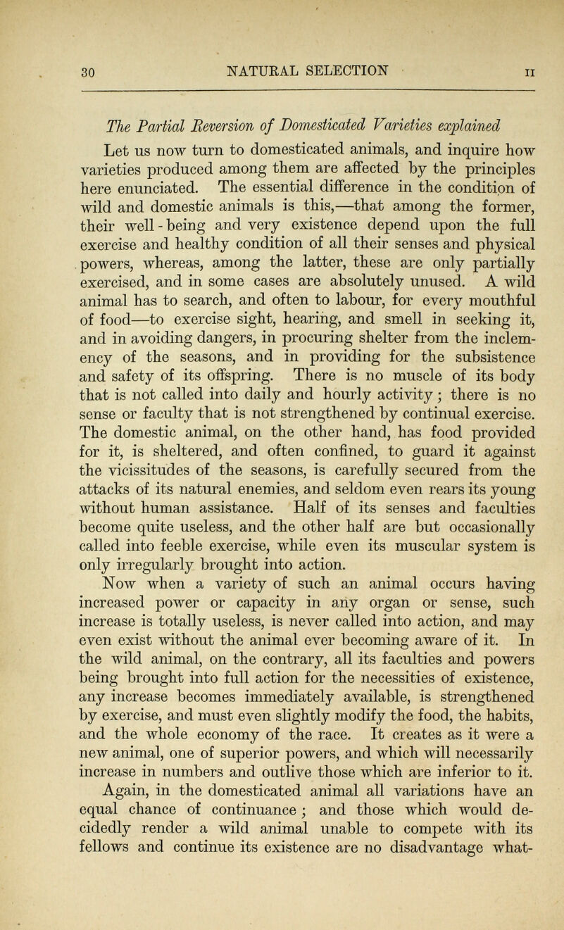 30 NATURAL SELECTION II The Partial Reversion of Domesticated Varieties explained Let us now turn to domesticated animals, and inquire how varieties produced among them are affected by the principles here enunciated. The essential difference in the condition of wild and domestic animals is this,—that among the former, their well - being and very existence depend upon the full exercise and healthy condition of all their senses and physical powers, whereas, among the latter, these are only partially exercised, and in some cases are absolutely unused. A wild animal has to search, and often to labour, for every mouthful of food—to exercise sight, hearing, and smell in seeking it, and in avoiding dangers, in procuring shelter from the inclem¬ ency of the seasons, and in providing for the subsistence and safety of its offspring. There is no muscle of its body that is not called into daily and hourly activity ; there is no sense or faculty that is not strengthened by continual exercise. The domestic animal, on the other hand, has food provided for it, is sheltered, and often confined, to guard it against the vicissitudes of the seasons, is carefully secured from the attacks of its natural enemies, and seldom even rears its young without human assistance. Half of its senses and faculties become quite useless, and the other half are but occasionally called into feeble exercise, while even its muscular system is only irregularly brought into action. Now when a variety of such an animal occurs having increased power or capacity in any organ or sense, such increase is totally useless, is never called into action, and may even exist without the animal ever becoming aware of it. In the wild animal, on the contrary, all its faculties and powers being brought into full action for the necessities of existence, any increase becomes immediately available, is strengthened by exercise, and must even slightly modify the food, the habits, and the whole economy of the race. It creates as it were a new animal, one of superior powers, and which will necessarily increase in numbers and outlive those which are inferior to it. Again, in the domesticated animal all variations have an equal chance of continuance ; and those which would de¬ cidedly render a wild animal unable to compete with its fellows and continue its existence are no disadvantage what-