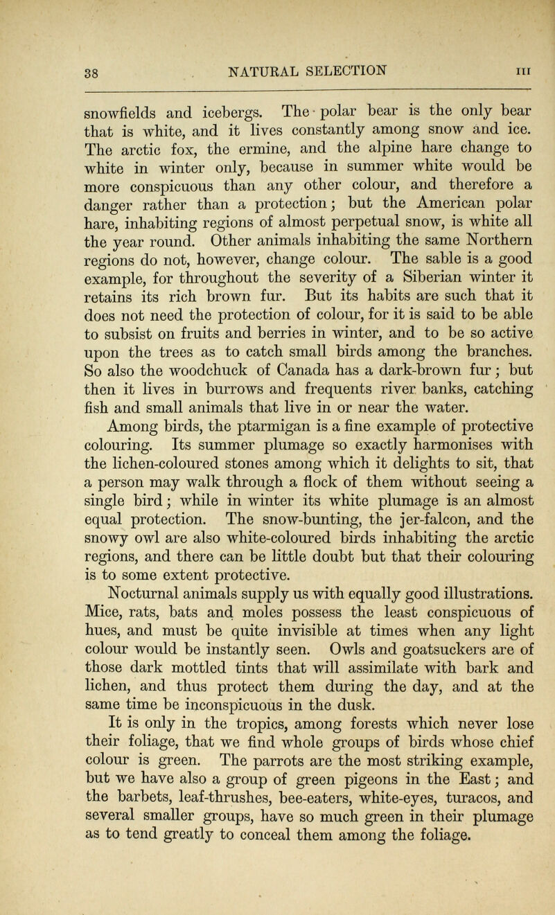 38 NATURAL SELECTION m snowfields and icebergs. The ■ polar bear is the only bear that is white, and it lives constantly among snow and ice. The arctic fox, the ermine, and the alpine hare change to white in winter only, because in summer white would be more conspicuous than any other colour, and therefore a danger rather than a protection; but the American polar hare, inhabiting regions of almost perpetual snow, is white all the year round. Other animals inhabiting the same Northern regions do not, however, change colour. The sable is a good example, for throughout the severity of a Siberian winter it retains its rich brown fur. But its habits are such that it does not need the protection of colour, for it is said to be able to subsist on fruits and berries in winter, and to be so active upon the trees as to catch small birds among the branches. So also the woodchuck of Canada has a dark-brown fur ; but then it lives in burrows and frequents river banks, catching fish and small animals that live in or near the water. Among birds, the ptarmigan is a fine example of protective colouring. Its summer plumage so exactly harmonises with the lichen-coloured stones among which it delights to sit, that a person may walk through a flock of them without seeing a single bird ; while in winter its white plumage is an almost equal protection. The snow-bunting, the jer-falcon, and the snowy owl are also white-coloured birds inhabiting the arctic regions, and there can be little doubt but that their colouring is to some extent protective. Nocturnal animals supply us with equally good illustrations. Mice, rats, bats and moles possess the least conspicuous of hues, and must be quite invisible at times when any light colour would be instantly seen. Owls and goatsuckers are of those dark mottled tints that will assimilate with bark and lichen, and thus protect them during the day, and at the same time be inconspicuous in the dusk. It is only in the tropics, among forests which never lose their foliage, that we find whole groups of birds whose chief colour is green. The parrots are the most striking example, but we have also a group of green pigeons in the East ; and the barbets, leaf-thrushes, bee-eaters, white-eyes, turacos, and several smaller groups, have so much green in their plumage as to tend greatly to conceal them among the foliage.