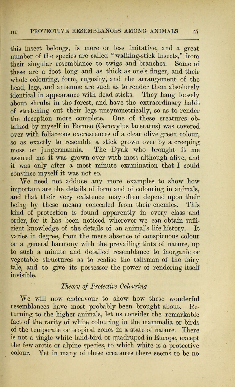 PROTECTIVE RESEMBLANCES AMONG ANIMALS 47 this insect belongs, is more or less imitative, and a great number of the species are called  walking-stick insects, from their singular resemblance to twigs and branches. Some of these are a foot long and as thick as one's finger, and their whole colouring, form, rugosity, and the arrangement of the head, legs, and antennae are such as to render them absolutely- identical in appearance with dead sticks. They hang loosely about shrubs in the forest, and have the extraordinary habit of stretching out their legs unsymmetrically, so as to render the deception more complete. One of these creatures ob¬ tained by myself in Borneo (Ceroxylus laceratus) was covered over with foliaceous excrescences of a clear olive green colour, so as exactly to resemble a stick grown over by a creeping moss or jungermannia. The Dyak who brought it me assured me it was grown over with moss although alive, and it was only after a most minute examination that I could convince myself it was not so. We need not adduce any more examples to show how important are the details of form and of colouring in animals, and that their very existence may often depend upon their being by these means concealed from their enemies. This kind of protection is found apparently in every class and order, for it has been noticed wherever we can obtain suffi¬ cient knowledge of the details of an animal's life-history. It varies in degree, from the mere absence of conspicuous colour or a general harmony with the prevailing tints of nature, up to such a minute and detailed resemblance to inorganic or vegetable structures as to realise the talisman of the fairy tale, and to give its possessor the power of rendering itself invisible. Theory of Protective Colouring We will now endeavour to show how these wonderful resemblances have most probably been brought about. Re¬ turning to the higher animals, let us consider the remarkable fact of the rarity of white colouring in the mammalia or birds of the temperate or tropical zones in a state of nature. There is not a single white land-bird or quadruped in Europe, except the few arctic or alpine species, to which white is a protective colour. Yet in many of these creatures there seems to be no