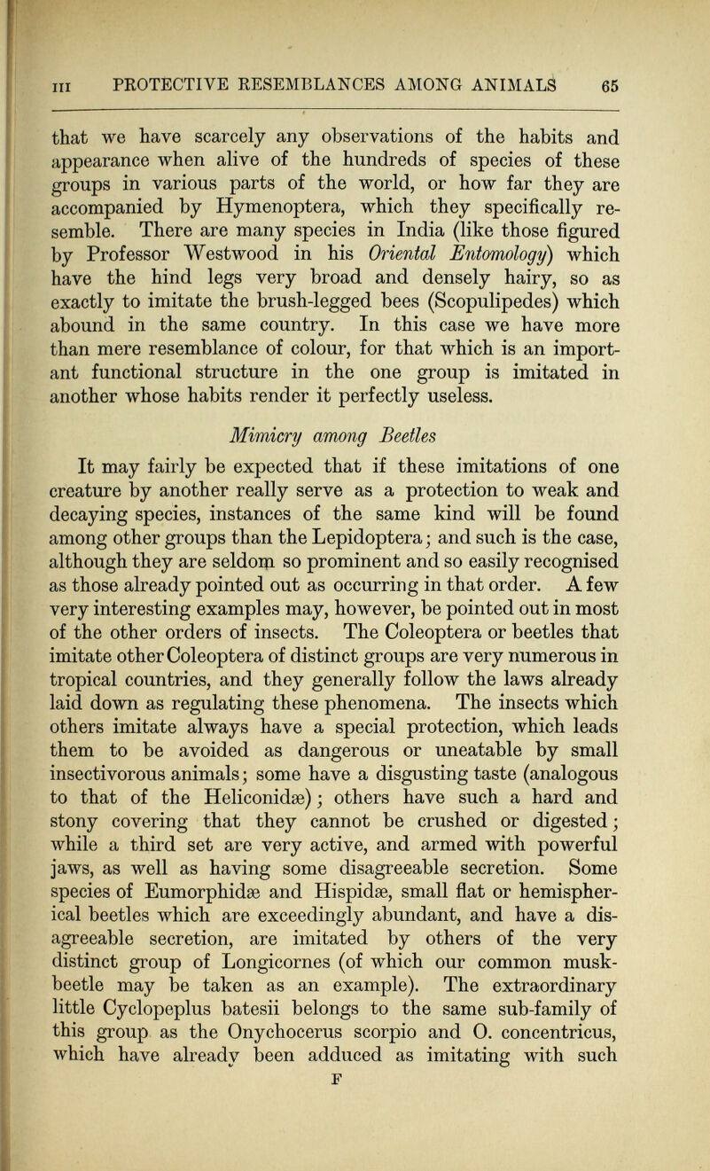 PROTECTIVE RESEMBLANCES AMONG ANIMALS 65 that we have scarcely any observations of the habits and appearance when alive of the hundreds of species of these groups in various parts of the world, or how far they are accompanied by Hymenoptera, which they specifically re¬ semble. There are many species in India (like those figured by Professor Westwood in his Oriental Entomology) which have the hind legs very broad and densely hairy, so as exactly to imitate the brush-legged bees (Scopulipedes) which abound in the same country. In this case we have more than mere resemblance of colour, for that which is an import¬ ant functional structure in the one group is imitated in another whose habits render it perfectly useless. Mimicry among Beetles It may fairly be expected that if these imitations of one creature by another really serve as a protection to weak and decaying species, instances of the same kind will be found among other groups than the Lepidoptera; and such is the case, although they are seldoqi so prominent and so easily recognised as those already pointed out as occurring in that order. A few very interesting examples may, however, be pointed out in most of the other orders of insects. The Coleóptera or beetles that imitate other Coleóptera of distinct groups are very numerous in tropical countries, and they generally follow the laws already laid down as regulating these phenomena. The insects which others imitate always have a special protection, which leads them to be avoided as dangerous or uneatable by small insectivorous animals ; some have a disgusting taste (analogous to that of the Heliconidse) ; others have such a hard and stony covering that they cannot be crushed or digested ; while a third set are very active, and armed with powerful jaws, as well as having some disagreeable secretion. Some species of Eumorphidse and Hispidse, small flat or hemispher¬ ical beetles which are exceedingly abundant, and have a dis¬ agreeable secretion, are imitated by others of the very distinct group of Longicornes (of which our common musk- beetle may be taken as an example). The extraordinary little Cyclopeplus batesii belongs to the same sub-family of this group as the Onychocerus scorpio and 0. concentricus, which have already been adduced as imitating with such F