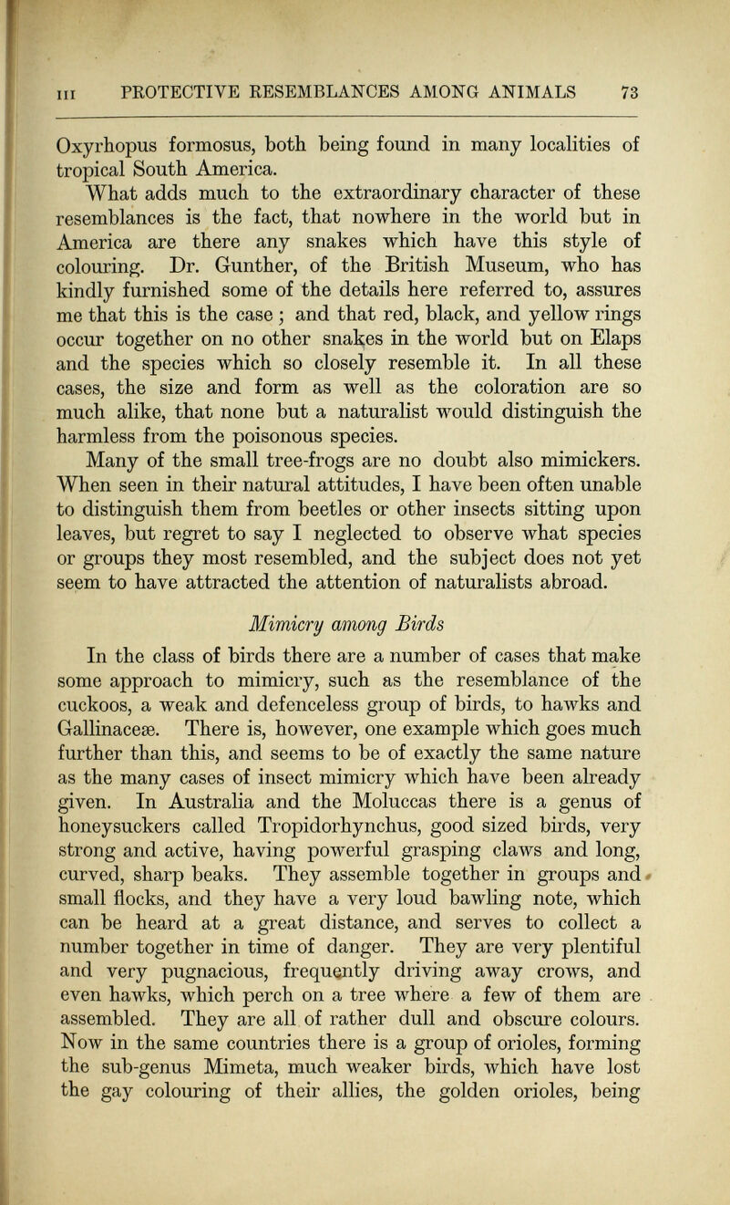 PROTECTIVE RESEMBLANCES AMONG ANIMALS 73 Oxyrhopus formosus, both being found in many localities of tropical South America. What adds much to the extraordinary character of these resemblances is the fact, that nowhere in the world but in America are there any snakes which have this style of colouring. Dr. Gunther, of the British Museum, who has kindly furnished some of the details here referred to, assures me that this is the case ; and that red, black, and yellow rings occur together on no other snakes in the world but on Elaps and the species which so closely resemble it. In all these cases, the size and form as well as the coloration are so much alike, that none but a naturalist would distinguish the harmless from the poisonous species. Many of the small tree-frogs are no doubt also mimickers. When seen in their natural attitudes, I have been often unable to distinguish them from beetles or other insects sitting upon leaves, but regret to say I neglected to observe what species or groups they most resembled, and the subject does not yet seem to have attracted the attention of naturalists abroad. Mimicry among Birds In the class of birds there are a number of cases that make some approach to mimicry, such as the resemblance of the cuckoos, a weak and defenceless group of birds, to hawks and Gallinacese. There is, however, one example which goes much further than this, and seems to be of exactly the same nature as the many cases of insect mimicry which have been already given. In Australia and the Moluccas there is a genus of honeysuckers called Tropidorhynchus, good sized birds, very strong and active, having powerful grasping claws and long, curved, sharp beaks. They assemble together in groups and » small flocks, and they have a very loud bawling note, which can be heard at a great distance, and serves to collect a number together in time of danger. They are very plentiful and very pugnacious, frequently driving away crows, and even hawks, which perch on a tree where a few of them are assembled. They are all of rather dull and obscure colours. Now in the same countries there is a group of orioles, forming the sub-genus Mimeta, much weaker birds, which have lost the gay colouring of their allies, the golden orioles, being