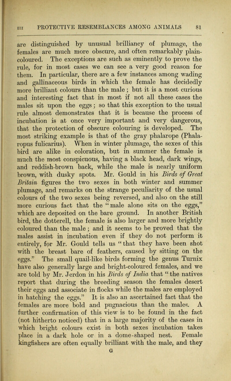 PROTECTIVE RESEMBLANCES AMONG ANIMALS 81 are distinguished by unusual brilliancy of plumage, the females are much more obscure, and often remarkably plain- coloured. The exceptions are such as eminently to prove the rule, for in most cases we can see a very good reason for them. In particular, there are a few instances among wading and gallinaceous birds in which the female has decidedly more brilliant colours than the male ; but it is a most curious and interesting fact that in most if not all these cases the males sit upon the eggs ; so that this exception to the usual rule almost demonstrates that it is because the process of incubation is at once very important and very dangerous, that the protection of obscure colouring is developed. The most striking example is that of the gray phalarope (Phala- ropus fulicarius). When in winter plumage, the sexes of this bird are alike in coloration, but in summer the female is much the most conspicuous, having a black head, dark wings, and reddish-brown back, while the male is nearly uniform brown, with dusky spots. Mr. Gould in his Birds of Great Britain figures the two sexes in both winter and summer plumage, and remarks on the strange peculiarity of the usual colours of the two sexes being reversed, and also on the still more curious fact that the male alone sits on the eggs, which are deposited on the bare ground. In another British bird, the dotterell, the female is also larger and more brightly coloured than the male ; and it seems to be proved that the males assist in incubation even if they do not perform it entirely, for Mr. Gould tells us that they have been shot with the breast bare of feathers, caused by sitting on the eggs. The small quail-like birds forming the genus Turnix have also generally large and bright-coloured females, and we are told by Mr. Jerdon in his Birds of India that the natives report that during the breeding season the females desert their eggs and associate in flocks while the males are employed in hatching the eggs. It is also an ascertained fact that the females are more bold and pugnacious than the males. A further confirmation of this view is to be found in the fact (not hitherto noticed) that in a large majority of the cases in which bright colours exist in both sexes incubation takes place in a dark hole or in a dome-shaped nest. Female kingfishers are often equally brilliant with the male, and they G