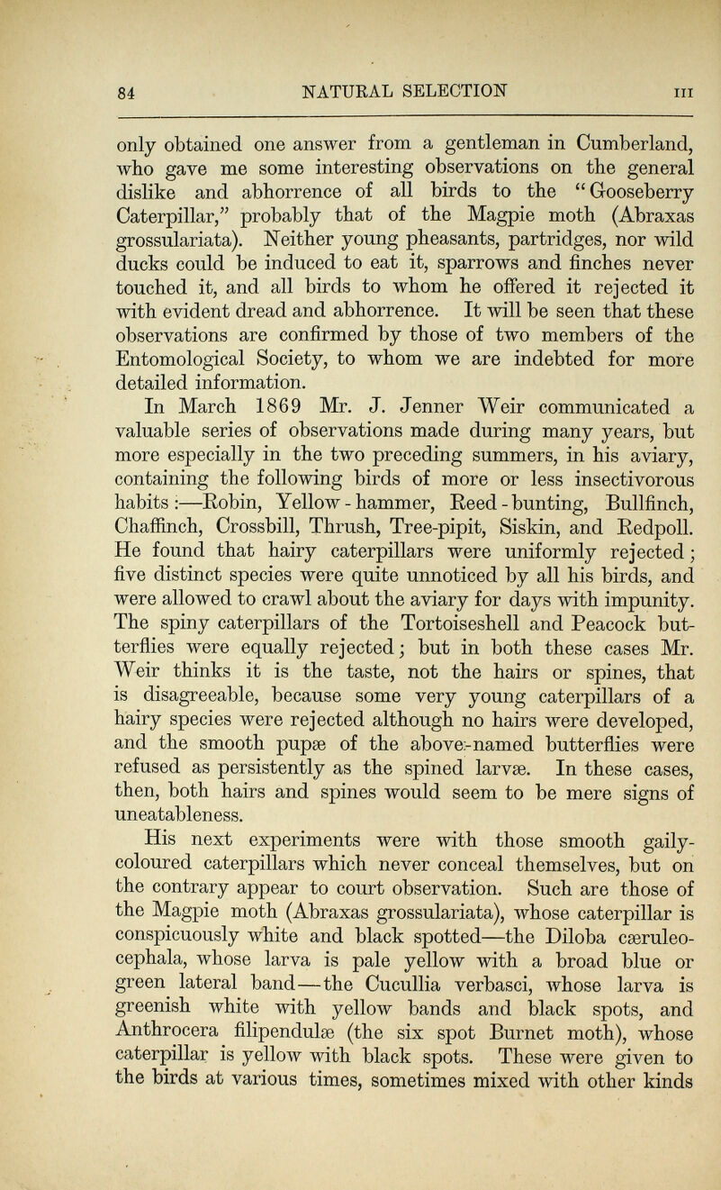 84 NATURAL SELECTION III only obtained one answer from a gentleman in Cumberland, who gave me some interesting observations on the general dislike and abhorrence of all birds to the Gooseberry Caterpillar, probably that of the Magpie moth (Abraxas grossulariata). Neither young pheasants, partridges, nor wild ducks could be induced to eat it, sparrows and finches never touched it, and all birds to whom he offered it rejected it with evident dread and abhorrence. It will be seen that these observations are confirmed by those of two members of the Entomological Society, to whom we are indebted for more detailed information. In March 1869 Mr. J. Jenner Weir communicated a valuable series of observations made during many years, but more especially in the two preceding summers, in his aviary, containing the following birds of more or less insectivorous habits:—Robin, Yellow-hammer, Reed - bunting, Bullfinch, Chafiinch, Crossbill, Thrush, Tree-pipit, Siskin, and Eedpoll. He found that hairy caterpillars were uniformly rejected ; five distinct species were quite unnoticed by all his birds, and were allowed to crawl about the aviary for days with impunity. The spiny caterpillars of the Tortoiseshell and Peacock but- terñies were equally rejected; but in both these cases Mr. Weir thinks it is the taste, not the hairs or spines, that is disagreeable, because some very young caterpillars of a hairy species were rejected although no hairs were developed, and the smooth pupee of the above:-named butterflies were refused as persistently as the spined larvse. In these cases, then, both hairs and spines would seem to be mere signs of uneatableness. His next experiments were with those smooth gaily- coloured caterpillars which never conceal themselves, but on the contrary appear to court observation. Such are those of the Magpie moth (Abraxas grossulariata), whose caterpillar is conspicuously white and black spotted—the Diloba cseruleo- cephala, whose larva is pale yellow with a broad blue or green lateral band—the Cuculila verbasci, луЬозе larva is greenish white with yellow bands and black spots, and Anthrocera filipendulse (the six spot Burnet moth), whose caterpillar is yellow with black spots. These were given to the birds at various times, sometimes mixed with other kinds