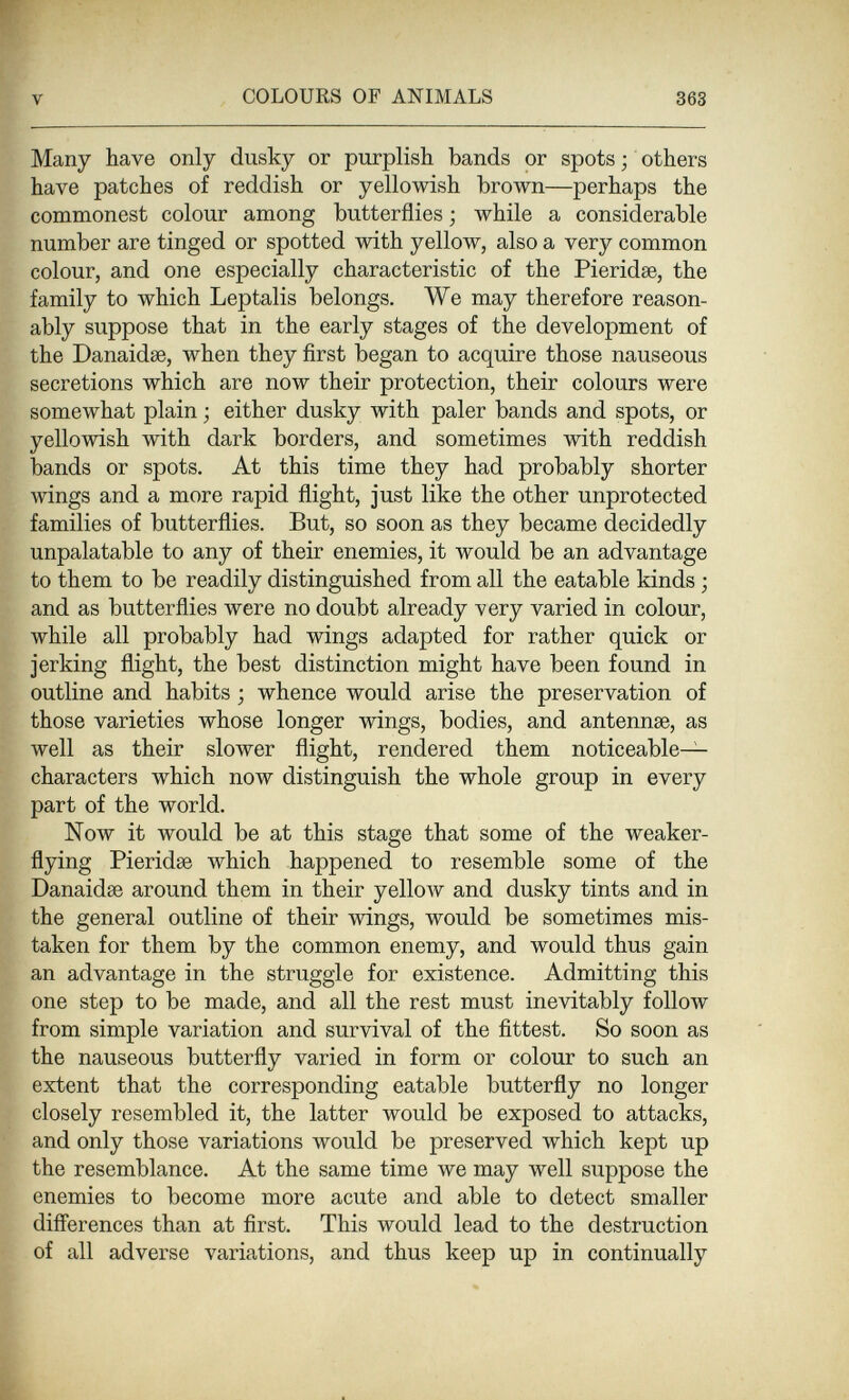 V COLOURS OF ANIMALS 363 Many have only dusky or purplish bands or spots ; others have patches of reddish or yellowish brown—perhaps the commonest colour among butterflies ; while a considerable number are tinged or spotted with yellow, also a very common colour, and one especially characteristic of the Pieridse, the family to which Leptalis belongs. We may therefore reason¬ ably suppose that in the early stages of the development of the Danaidae, when they first began to acquire those nauseous secretions which are now their protection, their colours were somewhat plain ; either dusky with paler bands and spots, or yellowish with dark borders, and sometimes with reddish bands or spots. At this time they had probably shorter wings and a more rapid flight, just like the other unprotected families of butterflies. But, so soon as they became decidedly unpalatable to any of their enemies, it would be an advantage to them to be readily distinguished from all the eatable kinds ; and as butterflies were no doubt already very varied in colour, while all probably had wings adapted for rather quick or jerking flight, the best distinction might have been found in outline and habits ; whence would arise the preservation of those varieties whose longer wings, bodies, and antennae, as well as their slower flight, rendered them noticeable- characters which now distinguish the whole group in every part of the world. Now it would be at this stage that some of the weaker- flying Pieridse which happened to resemble some of the Danaidse around them in their уеИолу and dusky tints and in the general outline of their wings, would be sometimes mis¬ taken for them by the common enemy, and would thus gain an advantage in the struggle for existence. Admitting this one step to be made, and all the rest must inevitably follow from simple variation and survival of the fittest. So soon as the nauseous butterfly varied in form or colour to such an extent that the corresponding eatable butterfly no longer closely resembled it, the latter would be exposed to attacks, and only those variations would be preserved which kept up the resemblance. At the same time we may well suppose the enemies to become more acute and able to detect smaller diflerences than at first. This would lead to the destruction of all adverse variations, and thus keep up in continually