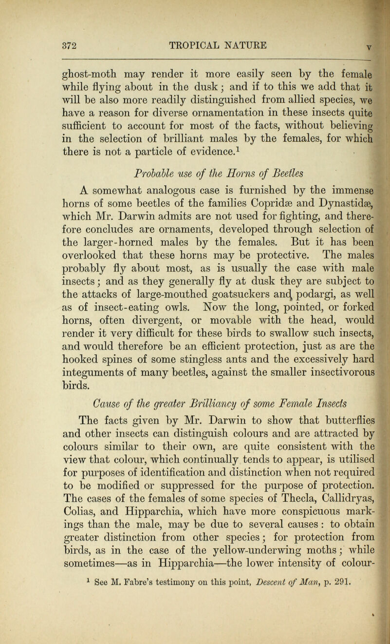 372 TROPICAL NATURE V ghost-moth may render it more easily seen by the female while flying about in the dusk ; and if to this we add that it will be also more readily distinguished from allied species, we have a reason for diverse ornamentation in these insects quite sufficient to account for most of the facts, without believing in the selection of brilliant males by the females, for which there is not a particle of evidence. ^ Probable use of the Horns of Beetles A somewhat analogous case is furnished by the immense horns of some beetles of the families Copridae and Dynastidse, which Mr. Darwin admits are not used for fighting, and there¬ fore concludes are ornaments, developed through selection of . the larger-horned males by the females. But it has been overlooked that these horns may be protective. The males probably fly about most, as is usually the case with male insects ; and as they generally fly at dusk they are subject to the attacks of large-mouthed goatsuckers an^ podargi, as well as of insect-eating owls. Now the long, pointed, or forked horns, often divergent, or movable with the head, would render it very difficult for these birds to swallow such insects, and would therefore be an efficient protection, just as are the hooked spines of some stingless ants and the excessively hard integuments of many beetles, against the smaller insectivorous birds. Cause of the greater Brilliancy of some Female Insects The facts given by Mr. Darwin to show that butterflies and other insects can distinguish colours and are attracted by colours similar to their own, are quite consistent with the view that colour, which continually tends to appear, is utilised for purposes of identification and distinction when not required f to be modified or suppressed for the purpose of protection, ^ The cases of the females of some species of Thecla, Callidryas, Colias, and Hipparchia, which have more conspicuous mark¬ ings than the male, may be due to several causes : to obtain greater distinction from other species; for protection from birds, as in the case of the yellow-underwing moths ; while sometimes—as in Hipparchia—the lower intensity of colour- ^ See M, Fabre's testimony on this point, Descent of Man, p. 291.