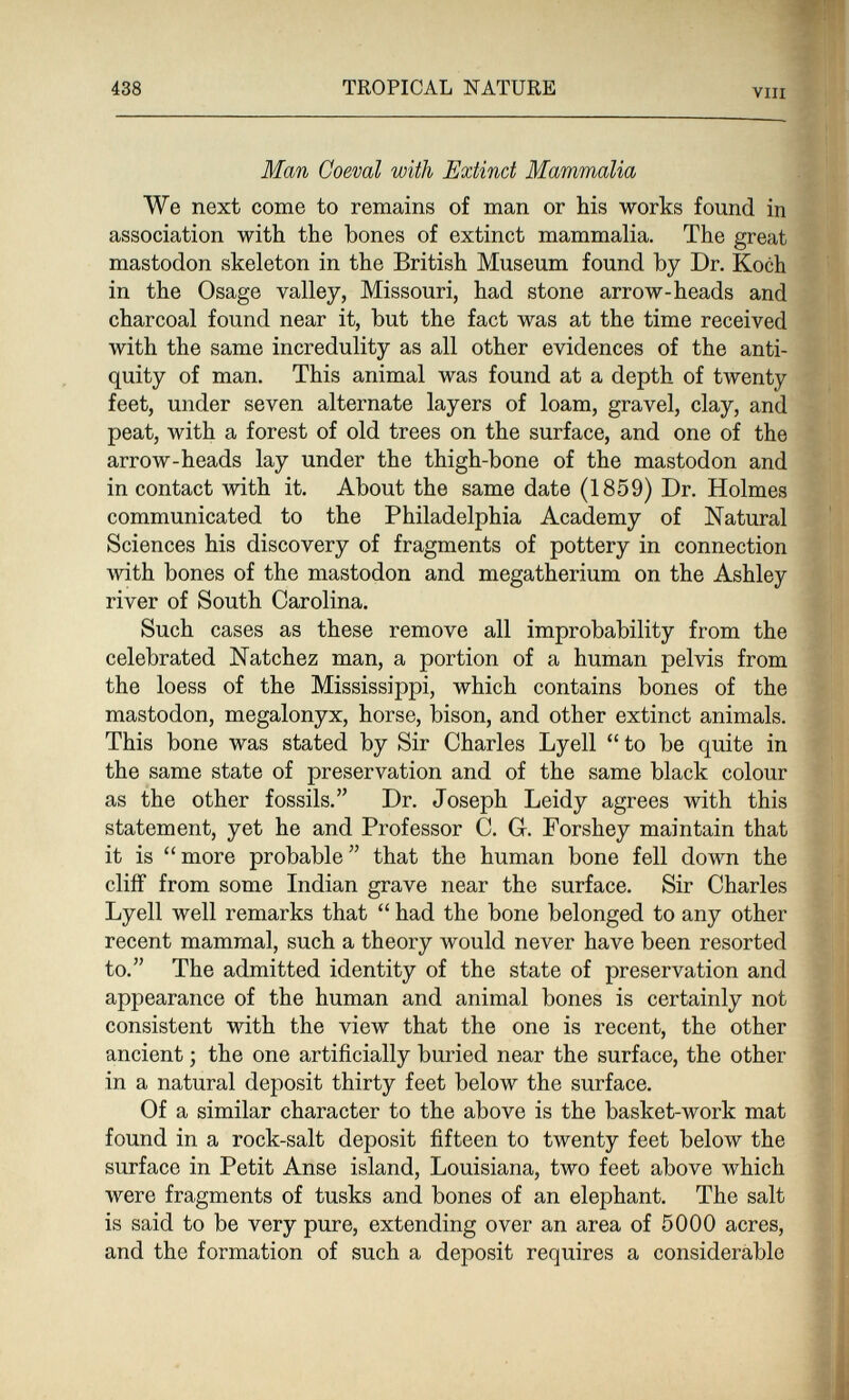 438 TROPICAL NATURE VIH Man Coeval with Extinct Mammalia We next come to remains of man or his works found in association with the bones of extinct mammalia. The great mastodon skeleton in the British Museum found by Dr. Koch in the Osage valley, Missouri, had stone arrow-heads and charcoal found near it, but the fact was at the time received with the same incredulity as all other evidences of the anti¬ quity of man. This animal was found at a depth of twenty feet, under seven alternate layers of loam, gravel, clay, and peat, with a forest of old trees on the surface, and one of the arrow-heads lay under the thigh-bone of the mastodon and in contact with it. About the same date (1859) Dr. Holmes communicated to the Philadelphia Academy of Natural Sciences his discovery of fragments of pottery in connection with bones of the mastodon and megatherium on the Ashley river of South Carolina. Such cases as these remove all improbability from the celebrated Natchez man, a portion of a human pelvis from the loess of the Mississippi, which contains bones of the mastodon, megalonyx, horse, bison, and other extinct animals. This bone was stated by Sir Charles Lyell to be quite in the same state of preservation and of the same black colour as the other fossils. Dr. Joseph Leidy agrees with this statement, yet he and Professor C. G. Forshey maintain that it is more probable that the human bone fell down the cliff from some Indian grave near the surface. Sir Charles Lyell well remarks that  had the bone belonged to any other recent mammal, such a theory would never have been resorted to. The admitted identity of the state of preservation and appearance of the human and animal bones is certainly not consistent with the view that the one is recent, the other ancient ; the one artificially buried near the surface, the other in a natural deposit thirty feet below the surface. Of a similar character to the above is the basket-work mat found in a rock-salt deposit fifteen to twenty feet below the surface in Petit Anse island, Louisiana, two feet above which were fragments of tusks and bones of an elephant. The salt is said to be very pure, extending over an area of 5000 acres, and the formation of such a deposit requires a considerable