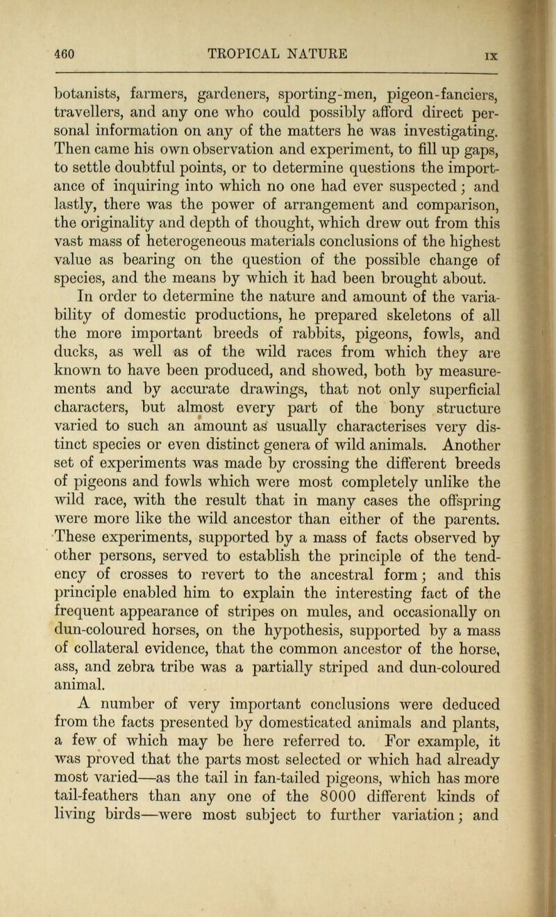 460 TROPICAL NATURE IX botanists, farmers, gardeners, sporting-men, pigeon-fanciers, travellers, and any one who could possibly afford direct per¬ sonal information on any of the matters he was investigating. Then came his own observation and experiment, to fill up gaps, to settle doubtful points, or to determine questions the import¬ ance of inquiring into which no one had ever suspected ; and lastly, there was the power of arrangement and comparison, the originality and depth of thought, which drew out from this vast mass of heterogeneous materials conclusions of the highest value as bearing on the question of the possible change of species, and the means by which it had been brought about. In order to determine the nature and amount of the varia¬ bility of domestic productions, he prepared skeletons of all the more important breeds of rabbits, pigeons, fowls, and ducks, as well as of the wild races from which they are known to have been produced, and showed, both by measure¬ ments and by accurate drawings, that not only superficial characters, but almost every part of the bony structure varied to such an amount as usually characterises very dis¬ tinct species or even distinct genera of wild animals. Another set of experiments was made by crossing the different breeds of pigeons and fowls which were most completely unlike the wild race, with the result that in many cases the offspring were more like the wild ancestor than either of the parents. These experiments, supported by a mass of facts observed by other persons, served to establish the principle of the tend¬ ency of crosses to revert to the ancestral form ; and this principle enabled him to explain the interesting fact of the frequent appearance of stripes on mules, and occasionally on dun-coloured horses, on the hypothesis, supported by a mass of collateral evidence, that the common ancestor of the horse, ass, and zebra tribe was a partially striped and dun-coloured animal. A number of very important conclusions were deduced from the facts presented by domesticated animals and plants, a few of which may be here referred to. For example, it was proved that the parts most selected or which had already most varied—as the tail in fan-tailed pigeons, which has more tail-feathers than any one of the 8000 different kinds of living birds—were most subject to further variation ; and