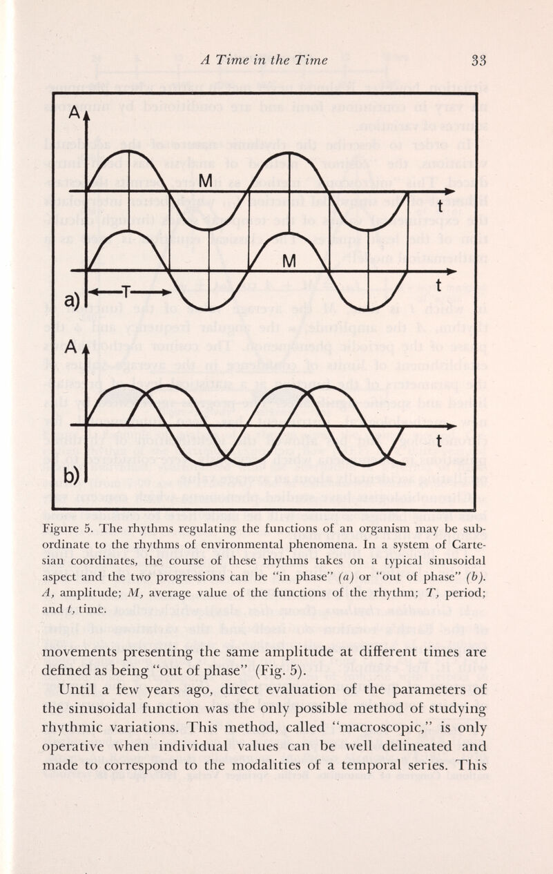 A Тime in the Time 33 Figure 5. The rhythms regulating the functions of an organism may be sub¬ ordinate to the rhythms of environmental phenomena. In a system of Carte¬ sian coordinates, the course of these rhythms takes on a typical sinusoidal aspect and the two progressions can be in phase (a) or out of phase (b). A, amplitude; M, average value of the functions of the rhythm; T, period; and t, time. movements presenting the same amplitude at different times are defined as being out of phase (Fig. 5). Until a few years ago, direct evaluation of the parameters of the sinusoidal function was the only possible method of studying rhythmic variations. This method, called macroscopic, is only operative when individual values can be well delineated and made to correspond to the modalities of a temporal series. This