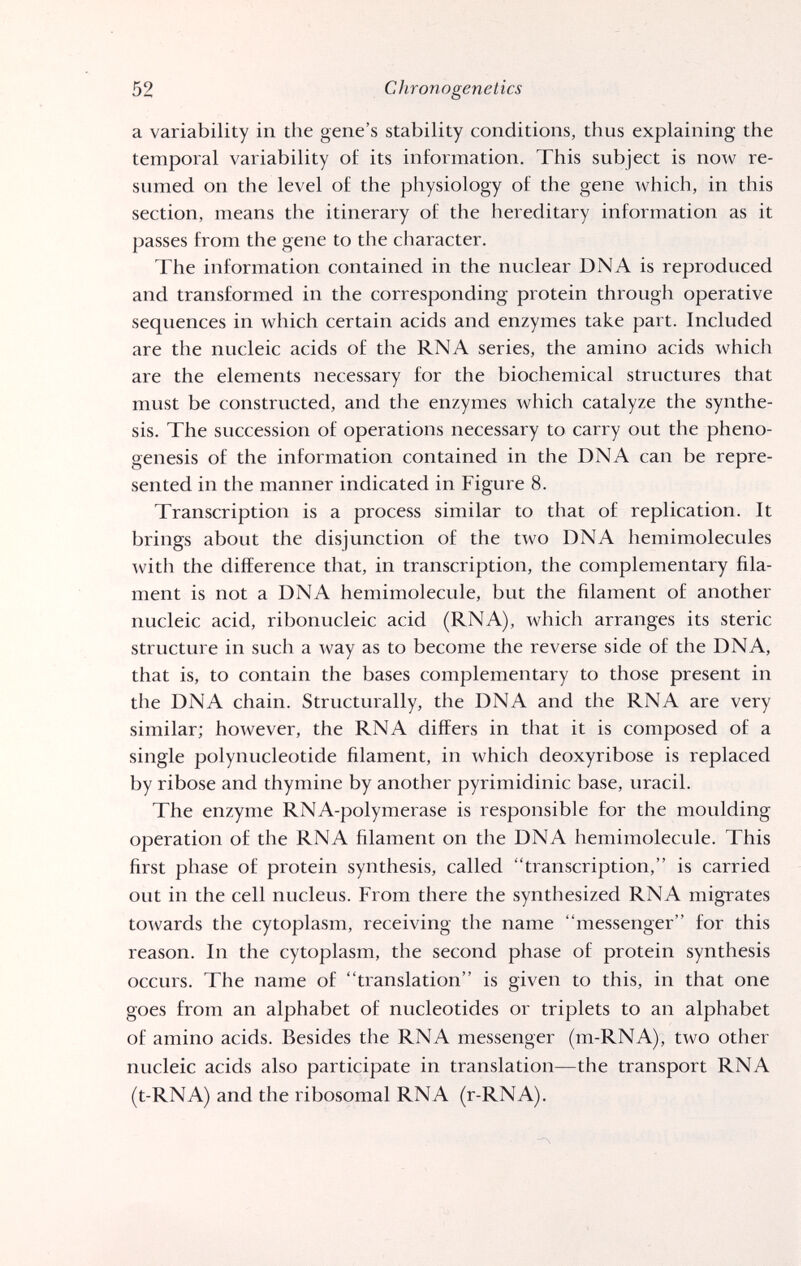 52 Chrono genetics a variability in the gene's stability conditions, thus explaining the temporal variability of its information. This subject is now re¬ sumed on the level of the physiology of the gene which, in this section, means the itinerary of the hereditary information as it passes from the gene to the character. The information contained in the nuclear DNA is reproduced and transformed in the corresponding protein through operative sequences in which certain acids and enzymes take part. Included are the nucleic acids of the RNA series, the amino acids which are the elements necessary for the biochemical structures that must be constructed, and the enzymes which catalyze the synthe¬ sis. The succession of operations necessary to carry out the pheno- genesis of the information contained in the DNA can be repre¬ sented in the manner indicated in Figure 8. Transcription is a process similar to that of replication. It brings about the disjunction of the two DNA hemimolecules with the difference that, in transcription, the complementary fila¬ ment is not a DNA hemimolecule, but the filament of another nucleic acid, ribonucleic acid (RNA), which arranges its steric structure in such a way as to become the reverse side of the DNA, that is, to contain the bases complementary to those present in the DNA chain. Structurally, the DNA and the RNA are very similar; however, the RNA differs in that it is composed of a single polynucleotide filament, in which deoxyribose is replaced by ribose and thymine by another pyrimidinic base, uracil. The enzyme RNA-polymerase is responsible for the moulding operation of the RNA filament on the DNA hemimolecule. This first phase of protein synthesis, called transcription, is carried out in the cell nucleus. From there the synthesized RNA migrates towards the cytoplasm, receiving the name messenger for this reason. In the cytoplasm, the second phase of protein synthesis occurs. The name of translation is given to this, in that one goes from an alphabet of nucleotides or triplets to an alphabet of amino acids. Besides the RNA messenger (m-RNA), two other nucleic acids also participate in translation—the transport RNA (t-RNA) and the ribosomal RNA (r-RNA).