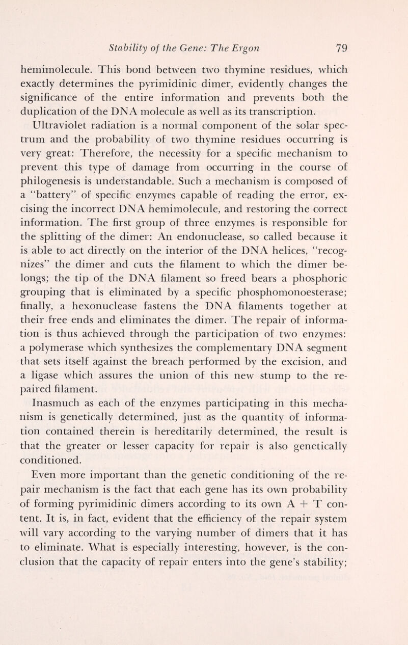 Stability of the Gene: The Ergon 79 hemimolecule. This bond between two thymine residues, which exactly determines the pyrimidinic dimer, evidently changes the significance of the entire information and prevents both the duplication of the DNA molecule as well as its transcription. Ultraviolet radiation is a normal component of the solar spec¬ trum and the probability of two thymine residues occurring is very great: Therefore, the necessity for a specific mechanism to prevent this type of damage from occurring in the course of philogenesis is understandable. Such a mechanism is composed of a battery of specific enzymes capable of reading the error, ex¬ cising the incorrect DNA hemimolecule, and restoring the correct information. The first group of three enzymes is responsible for the splitting of the dimer: An endonuclease, so called because it is able to act directly on the interior of the DNA helices, recog¬ nizes the dimer and cuts the filament to which the dimer be¬ longs; the tip of the DNA filament so freed bears a phosphoric grouping that is eliminated by a specific Phosphomonoesterase; finally, a hexonuclease fastens the DNA filaments together at their free ends and eliminates the dimer. The repair of informa¬ tion is thus achieved through the participation of two enzymes: a polymerase which synthesizes the complementary DNA segment that sets itself against the breach performed by the excision, and a ligase which assures the union of this new stump to the re¬ paired filament. Inasmuch as each of the enzymes participating in this mecha¬ nism is genetically determined, just as the quantity of informa¬ tion contained therein is hereditarily determined, the result is that the greater or lesser capacity for repair is also genetically conditioned. Even more important than the genetic conditioning of the re¬ pair mechanism is the fact that each gene has its own probability of forming pyrimidinic dimers according to its own A -Ь T con¬ tent. It is, in fact, evident that the efficiency of the repair system will vary according to the varying number of dimers that it has to eliminate. What is especially interesting, however, is the con¬ clusion that the capacity of repair enters into the gene's stability;