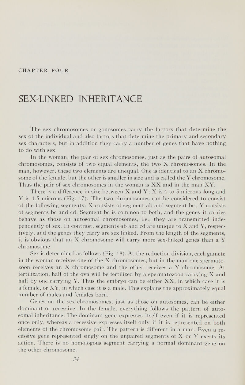 CHAPTER FOUR SEX-LINKED INHERITANCE The sex chromosomes or gonosomes carry the factors that determine the sex of the individual and also factors that determine the primary and secondary sex characters, but in addition they carry a number of genes that have nothing to do with sex. In the woman, the pair of sex chromosomes, just as the pairs of autosomal chromosomes, consists of two equal elements, the two X chromosomes. In the man, however, these two elements are unequal. One is identical to an X chromo¬ some of the female, but the other is smaller in size and is called the Y chromosome. Thus the pair of sex chromosomes in the woman is XX and in the man XY. There is a difference in size between X and Y ; X is 4 to 5 microns long and Y is 1.5 microns (Fig. 17). The two chromosomes can be considered to consist of the following segments: X consists of segment ab and segment be; Y consists of segments be and cd. Segment be is common to both, and the genes it carries behave as those on autosomal chromosomes, i.e., they are transmitted inde¬ pendently of sex. In contrast, segments ab and cd are unique to X and Y, respec¬ tively, and the genes they carry are sex linked. From the length of the segments, it is obvious that an X chromosome will carry more sex-linked genes than a Y chromosome. Sex is determined as follows (Fig. 18). At the reduction division, each gamete in the woman receives one of the X chromosomes, but in the man one spermato¬ zoon receives an X chromosome and the other receives a Y chromosome. At fertilization, half of the ova will be fertilized by a spermatozoon carrying X and half by one carrying Y. Thus the embryo can be either XX, in which case it is a female, or XY, in which case it is a male. This explains the approximately equal number of males and females born. Genes on the sex chromosomes, just as those on autosomes, can be either dominant or recessive. In the female, everything follows the pattern of auto¬ somal inheritance. The dominant gene expresses itself even if it is represented once only, whereas a recessive expresses itself only if it is represented on both elements of the chromosome pair. The pattern is different in a man. Even a re¬ cessive gene represented singly on the unpaired segments of X or Y exerts its action. There is no homologous segment carrying a normal dominant gene on the other chromosome. 34