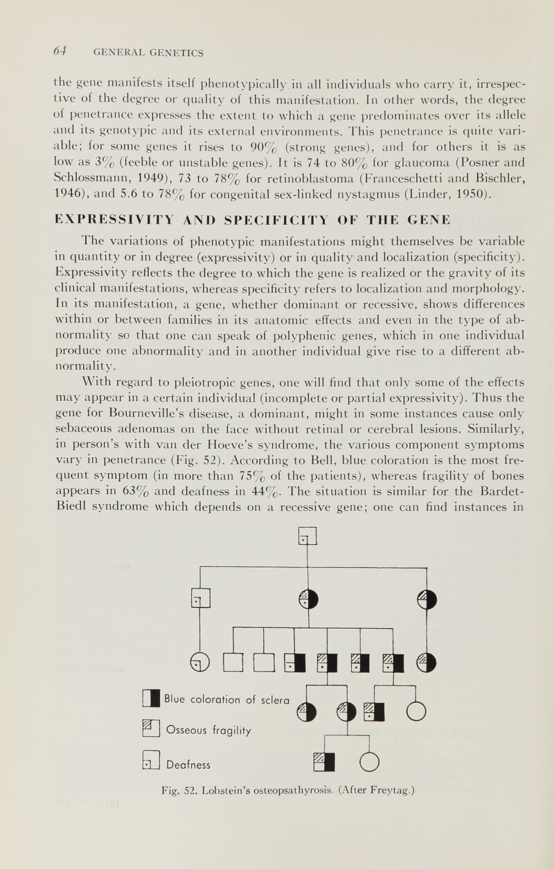 64 GENERAL GENETICS the gene manifests itself phenotypically in all individuals who carry it, irrespec¬ tive of the degree or quality of this manifestation. In other words, the degree of penetrance expresses the extent to which a gene predominates over its allele and its genotypic and its external environments. This penetrance is quite vari¬ able; for some genes it rises to 90% (strong genes), and for others it is as low as 3% (feeble or unstable genes). It is 74 to 80% for glaucoma (Posner and Schlossmann, 1949), 73 to 78% for retinoblastoma (Franceschetti and Bischler, 1946), and 5.6 to 78% for congenital sex-linked nystagmus (Linder, 1950). EXPRESSIVITY AND SPECIFICITY OF THE GENE The variations of phenotypic manifestations might themselves be variable in quantity or in degree (expressivity) or in quality and localization (specificity). Expressivity reflects the degree to which the gene is realized or the gravity of its clinical manifestations, whereas specificity refers to localization and morphology. In its manifestation, a gene, whether dominant or recessive, shows differences within or between families in its anatomic effects and even in the type of ab¬ normality so that one can speak of polyphenic genes, which in one individual produce one abnormality and in another individual give rise to a different ab¬ normality. With regard to pleiotropic genes, one will find that only some of the effects may appear in a certain individual (incomplete or partial expressivity). Thus the gene for Bourneville's disease, a dominant, might in some instances cause only sebaceous adenomas on the face without retinal or cerebral lesions. Similarly, in person's with van der Hoeve's syndrome, the various component symptoms vary in penetrance (Fig. 52). According to Bell, blue coloration is the most fre¬ quent symptom (in more than 75% of the patients), whereas fragility of bones appears in 63% and deafness in 44%. The situation is similar for the Bardet- Biedl syndrome which depends on a recessive gene; one can find instances in