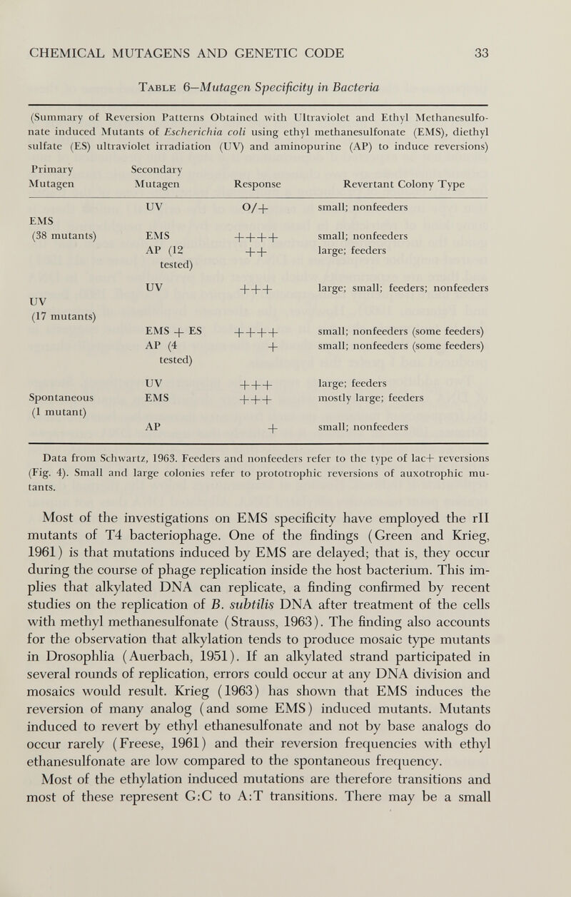 CHEMICAL MUTAGENS AND GENETIC CODE Table 6—Mutagen Specificity in Bacteria 33 (Summary of Reversion Patterns Obtained with Ultraviolet and Ethyl Methanesulfo- nate induced Mutants of Escherichia coll using ethyl methanesulfonate (EMS), diethyl sulfate (ES) ultraviolet irradiation (UV) and aminopurine (AP) to induce reversions) Primary Secondary Mutagen Mutagen Response Revertant Colony Type Data from Schwartz, 1963. Feeders and nonfeeders refer to the type of lac+ reversions (Fig. 4). Small and large colonies refer to prototrophic reversions of auxotrophic mu¬ tants. Most of the investigations on EMS specificity have employed the rll mutants of T4 bacteriophage. One of the findings (Green and Krieg, 1961) is that mutations induced by EMS are delayed; that is, they occur during the course of phage replication inside the host bacterium. This im¬ plies that alkylated DNA can replicate, a finding confirmed by recent studies on the replication of B. subtilis DNA after treatment of the cells with methyl methanesulfonate ( Strauss, 1963 ). The finding also accounts for the observation that alkylation tends to produce mosaic type mutants in Drosophlia (Auerbach, 1951). If an alkylated strand participated in several rounds of replication, errors could occur at any DNA division and mosaics would result. Krieg (1963) has shown that EMS induces the reversion of many analog (and some EMS) induced mutants. Mutants induced to revert by ethyl ethanesulfonate and not by base analogs do occur rarely (Freese, 1961) and their reversion frequencies with ethyl ethanesulfonate are low compared to the spontaneous frequency. Most of the ethylation induced mutations are therefore transitions and most of these represent G:C to A:T transitions. There may be a small