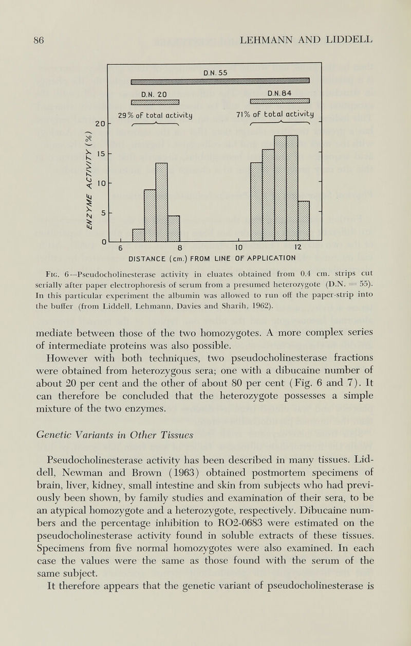 86 LEHMANN AND LIDDELL 20 к <0 N 15 10 D.N.55 D.N. 20 ШШ/УШУ/ШШ 29% oF botai activity D.N.84 кччтчччччтуччччччччучччч! 71% oF botai activity 6 8 10 12 DISTANCE (cm.) FROM LINE OF APPLICATI ON Fig. 6—PseudoCholinesterase activity in eluates obtained from 0.4 cm. strips cut serially after paper electrophoresis of serum from a presumed heterozygote (D.N. = 55). In this particular experiment the albumin was allowed to run off the paper-strip into the buffer (from Liddell, Lehmann, Davies and Sharih, 1962). mediate between those of the two homozygotes. A more complex series of intermediate proteins was also possible. However with both techniques, two pseudoCholinesterase fractions were obtained from heterozygous sera; one with a dibucaine number of about 20 per cent and the other of about 80 per cent (Fig. 6 and 7). It can therefore be concluded that the heterozygote possesses a simple mixture of the two enzymes. Genetic Variants in Other Tissues PseudoCholinesterase activity has been described in many tissues. Lid¬ dell, Newman and Brown (1963) obtained postmortem specimens of brain, liver, kidney, small intestine and skin from subjects who had previ¬ ously been shown, by family stLidies and examination of their sera, to be an atypical homozygote and a heterozygote, respectively. Dibucaine num¬ bers and the percentage inhibition to RO2-0683 were estimated on the pseudoCholinesterase activity found in soluble extracts of these tissues. Specimens from five normal homozygotes were also examined. In each case the values were the same as those found with the serum of the same subject. It therefore appears that the genetic variant of pseudocholinesterase is