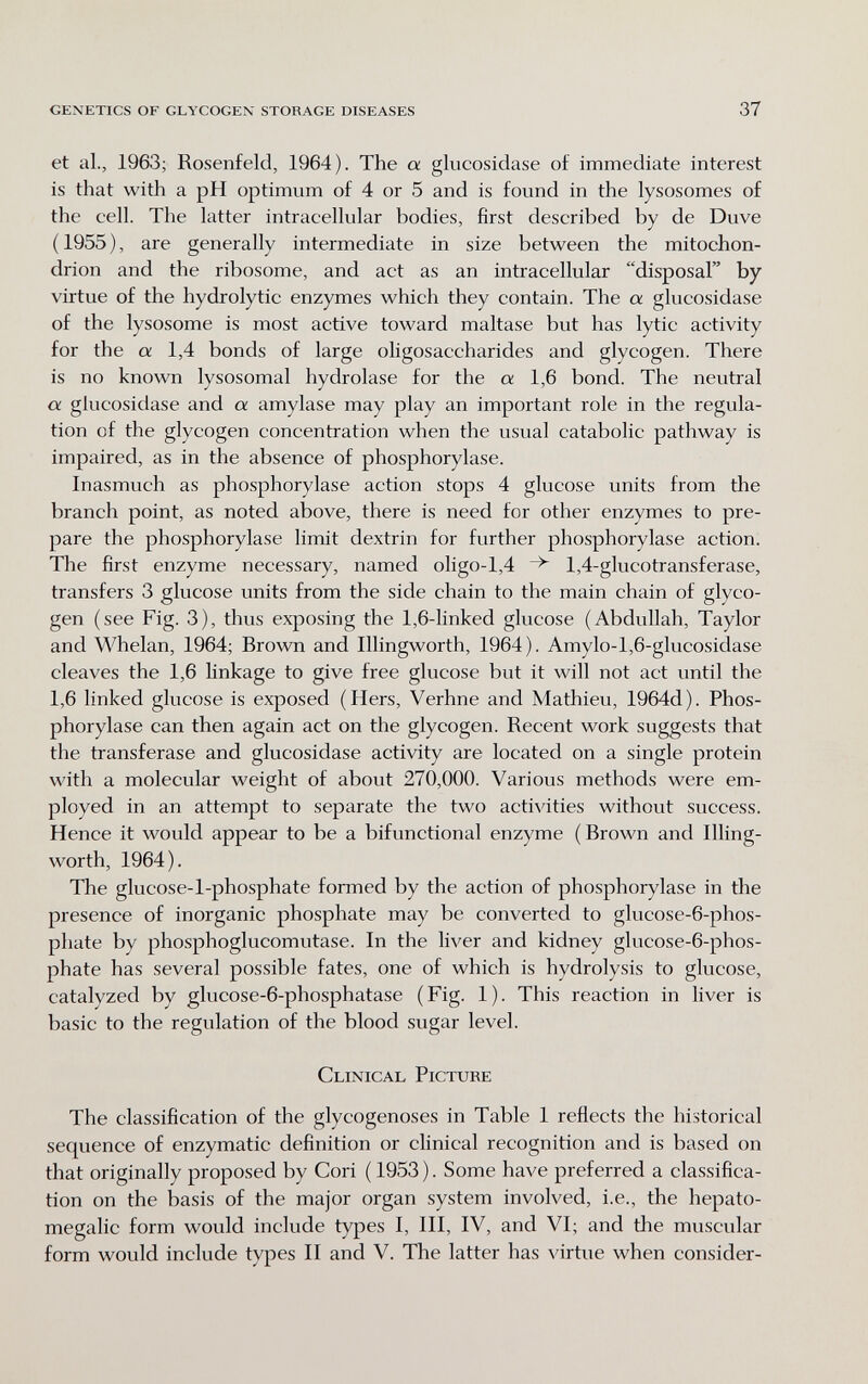 GENETICS OF GLYCOGEN STORAGE DISEASES 37 et al., 1963; Rosenfeld, 1964). The a glucosidase of immediate interest is that with a pH optimum of 4 or 5 and is found in the lysosomes of the cell. The latter intracellular bodies, first described by de Duve ( 1955 ), are generally intermediate in size between the mitochon¬ drion and the ribosome, and act as an intracellular disposal by virtue of the hydrolytic enzymes which they contain. The a glucosidase of the lysosome is most active toward maltase but has lytic activity for the cc 1,4 bonds of large oligosaccharides and glycogen. There is no known lysosomal hydrolase for the cx 1,6 bond. The neutral a glucosidase and a amylase may play an important role in the regula¬ tion of the glycogen concentration when the usual catabolic pathway is impaired, as in the absence of Phosphorylase. Inasmuch as phosphorylase action stops 4 glucose units from the branch point, as noted above, there is need for other enzymes to pre¬ pare the phosphorylase limit dextrin for further phosphorylase action. The first enzyme necessary, named oligo-1,4 1,4-glucotransferase, transfers 3 glucose units from the side chain to the main chain of glyco¬ gen (see Fig. 3), thus exposing the 1,6-linked glucose (Abdullah, Taylor and Whelan, 1964; Brown and Illingworth, 1964). Amylo-l,6-glucosidase cleaves the 1,6 linkage to give free glucose but it will not act until the 1,6 linked glucose is exposed (Hers, Verhne and Mathieu, 1964d). Phos¬ phorylase can then again act on the glycogen. Recent work suggests that the transferase and glucosidase activity are located on a single protein with a molecular weight of about 270,000. Various methods were em¬ ployed in an attempt to separate the two activities without success. Hence it would appear to be a bifunctional enzyme ( Brown and Illing¬ worth, 1964). The glucose-l-phosphate formed by the action of phosphorylase in the presence of inorganic phosphate may be converted to glucose-6-phos- phate by phosphoglucomutase. In the liver and kidney glucose-6-phos- phate has several possible fates, one of which is hydrolysis to glucose, catalyzed by glucose-6-phosphatase (Fig. 1). This reaction in liver is basic to the regulation of the blood sugar level. Clinical Picture The classification of the glycogenoses in Table 1 reflects the historical sequence of enzymatic definition or clinical recognition and is based on that originally proposed by Cori ( 1953). Some have preferred a classifica¬ tion on the basis of the major organ system involved, i.e., the hepato- megalic form would include types I, III, IV, and VI; and the muscular form would include types II and V. The latter has virtue when consider-