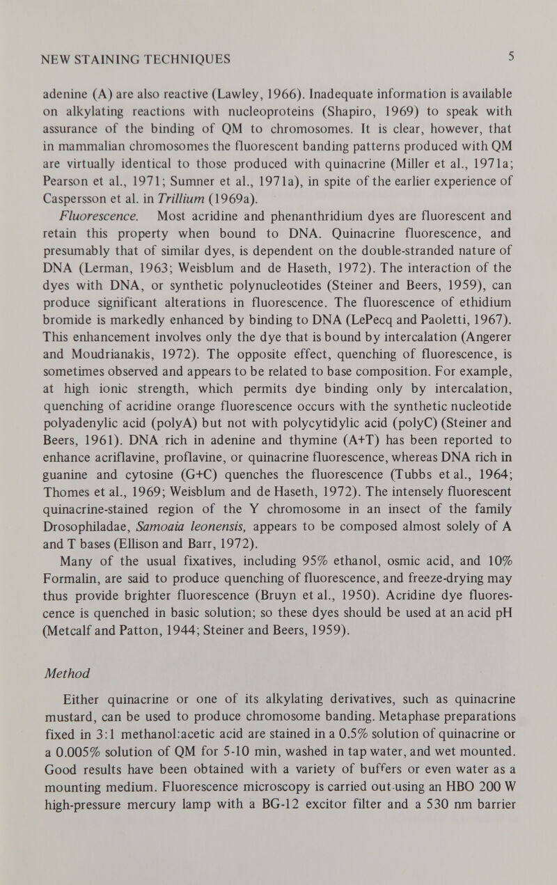 NEW STAINING TECHNIQUES 5 adenine (A) are also reactive (Lawley, 1966). Inadequate information is available on alkylating reactions with nucleoproteins (Shapiro, 1969) to speak with assurance of the binding of QM to chromosomes. It is clear, however, that in mammalian chromosomes the fluorescent banding patterns produced with QM are virtually identical to those produced with quinacrine (Miller et al., 1971a; Pearson et al., 1971; Sumner et al., 1971a), in spite of the earlier experience of Caspersson et al. in Trillium (1969a). Fluorescence. Most acridine and phenanthridium dyes are fluorescent and retain this property when bound to DNA. Quinacrine fluorescence, and presumably that of similar dyes, is dependent on the double-stranded nature of DNA (Lerman, 1963; Weisblum and de Haseth, 1972). The interaction of the dyes with DNA, or synthetic polynucleotides (Steiner and Beers, 1959), can produce sigiiificant alterations in fluorescence. The fluorescence of ethidium bromide is markedly enhanced by binding to DNA (LePecq and Paoletti, 1967). This enhancement involves only the dye that is bound by intercalation (Angerer and Moudrianakis, 1972). The opposite effect, quenching of fluorescence, is sometimes observed and appears to be related to base composition. For example, at high ionic strength, which permits dye binding only by intercalation, quenching of acridine orange fluorescence occurs with the synthetic nucleotide polyadenylic acid (polyA) but not with polycytidylic acid (polyC) (Steiner and Beers, 1961). DNA rich in adenine and thymine (A+T) has been reported to enhance acriflavine, proflavine, or quinacrine fluorescence, whereas DNA rich in guanine and cytosine (G+C) quenches the fluorescence (Tubbs et al., 1964; Thomes et al., 1969; Weisblum and de Haseth, 1972). The intensely fluorescent quinacrine-stained region of the Y chromosome in an insect of the family Drosophiladae, Samoaia leonensis, appears to be composed almost solely of A and T bases (Ellison and Barr, 1972). Many of the usual fixatives, including 95% ethanol, osmic acid, and 10% Formalin, are said to produce quenching of fluorescence, and freeze-drying may thus provide brighter fluorescence (Bruyn et al., 1950). Acridine dye fluores¬ cence is quenched in basic solution; so these dyes should be used at an acid pH (Metcalf and Patton, 1944; Steiner and Beers, 1959). Method Either quinacrine or one of its alkylating derivatives, such as quinacrine mustard, can be used to produce chromosome banding. Metaphase preparations fixed in 3:1 methanol:acetic acid are stained in a 0.5% solution of quinacrine or a 0.005% solution of QM for 5-10 min, washed in tap water, and wet mounted. Good results have been obtained with a variety of buffers or even water as a mounting medium. Fluorescence microscopy is carried out-using an HBO 200 W high-pressure mercury lamp with a BG-I2 excitor filter and a 530 nm barrier
