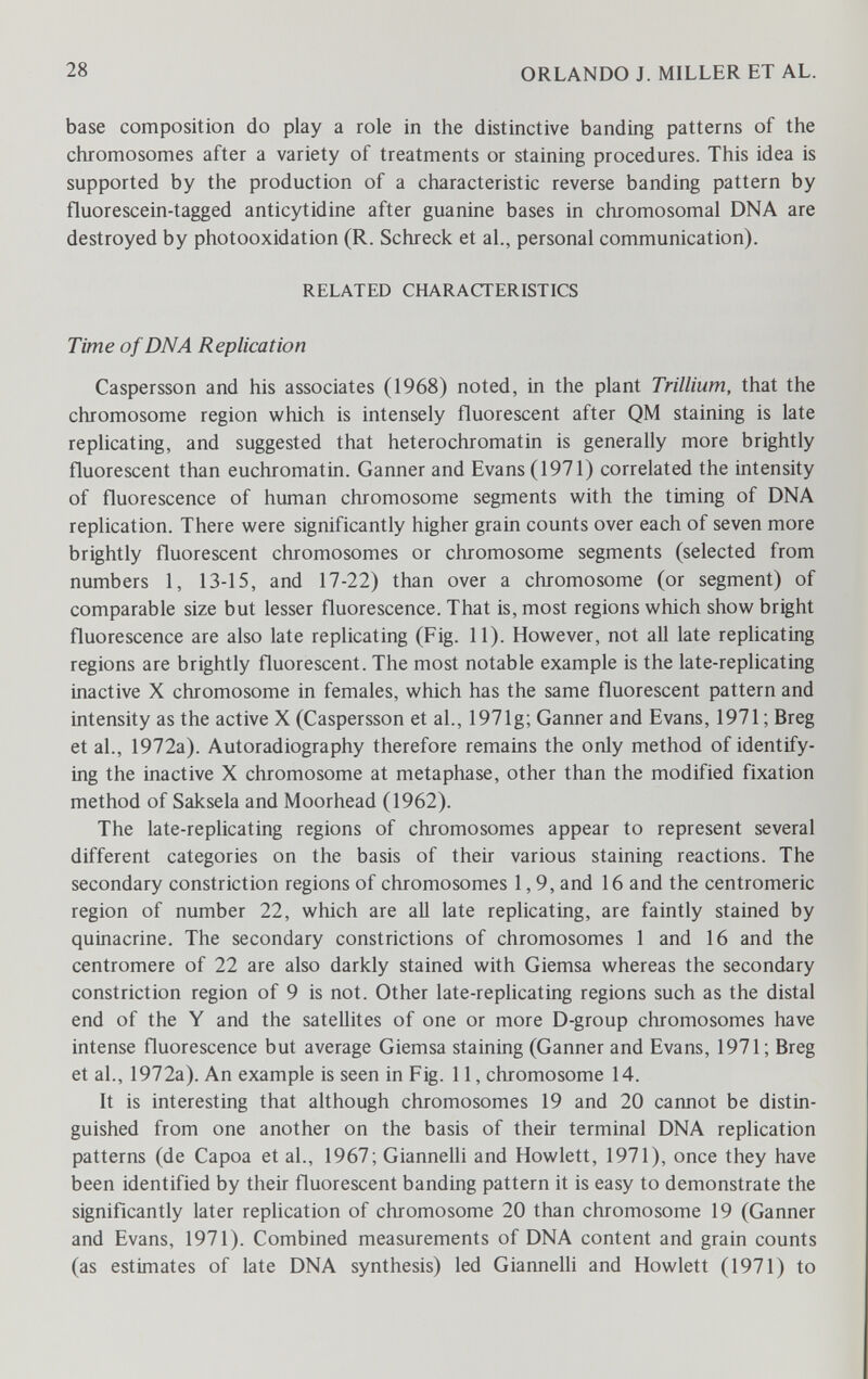 28 ORLANDO J. MILLER ET AL. base composition do play a role in the distinctive banding patterns of the chromosomes after a variety of treatments or staining procedures. This idea is supported by the production of a characteristic reverse banding pattern by fluorescein-tagged anticytidine after guanine bases in chromosomal DNA are destroyed by photooxidation (R. Schreck et al., personal communication). RELATED CHARACTERISTICS Time of DNA Replication Caspersson and his associates (1968) noted, in the plant Trillium, that the chromosome region which is intensely fluorescent after QM staining is late replicating, and suggested that heterochromatin is generally more brightly fluorescent than euchromatin. Ganner and Evans (1971) correlated the intensity of fluorescence of human chromosome segments with the timing of DNA replication. There were significantly higher grain counts over each of seven more brightly fluorescent chromosomes or chromosome segments (selected from numbers 1, 13-15, and 17-22) than over a chromosome (or segment) of comparable size but lesser fluorescence. That is, most regions which show bright fluorescence are also late replicating (Fig. 11). However, not all late replicating regions are brightly fluorescent. The most notable example is the late-replicating inactive X chromosome in females, which has the same fluorescent pattern and intensity as the active X (Caspersson et al., 1971g; Ganner and Evans, 1971 ; Breg et al., 1972a). Autoradiography therefore remains the only method of identify¬ ing the inactive X chromosome at metaphase, other than the modified fixation method of Saksela and Moorhead (1962). The late-replicating regions of chromosomes appear to represent several different categories on the basis of their various staining reactions. The secondary constriction regions of chromosomes 1,9, and 16 and the centromeric region of number 22, which are all late replicating, are faintly stained by quinacrine. The secondary constrictions of chromosomes 1 and 16 and the centromere of 22 are also darkly stained with Giemsa whereas the secondary constriction region of 9 is not. Other late-replicating regions such as the distal end of the Y and the satellites of one or more D-group chromosomes have intense fluorescence but average Giemsa staining (Ganner and Evans, 1971 ; Breg et al., 1972a). An example is seen in Fig. 11, chromosome 14. It is interesting that although chromosomes 19 and 20 cannot be distin¬ guished from one another on the basis of their terminal DNA replication patterns (de Capoa et al., 1967; Giannelli and Howlett, 1971), once they have been identified by their fluorescent banding pattern it is easy to demonstrate the significantly later replication of chromosome 20 than chromosome 19 (Ganner and Evans, 1971). Combined measurements of DNA content and grain counts (as estimates of late DNA synthesis) led Giannelli and Howlett (1971) to