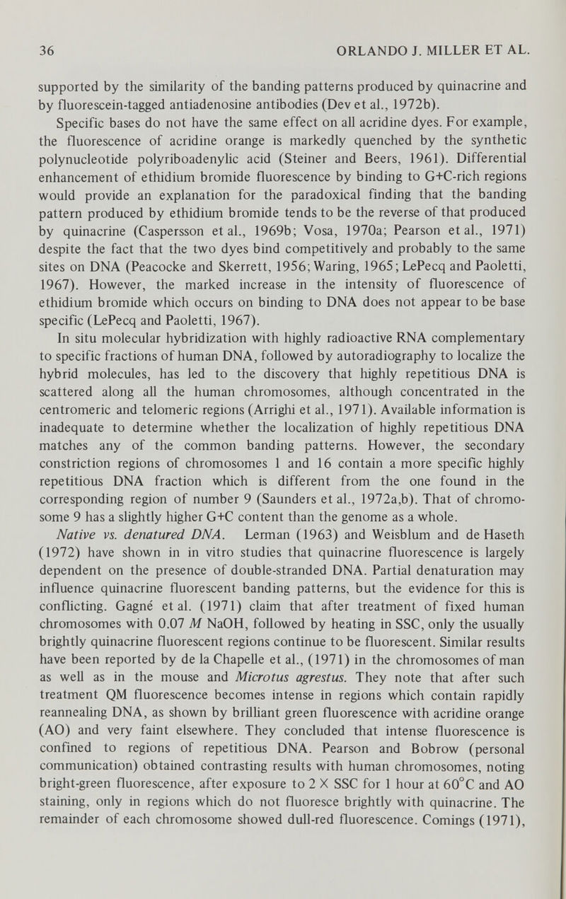 36 ORLANDO J. MILLER ET AL. supported by the similarity of the banding patterns produced by quinacrine and by fluorescein-tagged antiadenosine antibodies (Dev et al., 1972b). Specific bases do not have the same effect on all acridine dyes. For example, the fluorescence of acridine orange is markedly quenched by the synthetic polynucleotide polyriboadenylic acid (Steiner and Beers, 1961). Differential enhancement of ethidium bromide fluorescence by binding to G+C-rich regions would provide an explanation for the paradoxical finding that the banding pattern produced by ethidium bromide tends to be the reverse of that produced by quinacrine (Caspersson et al., 1969b; Vosa, 1970a; Pearson et al., 1971) despite the fact that the two dyes bind competitively and probably to the same sites on DNA (Peacocke and Skerrett, 1956; Waring, 1965;LePecq and Paoletti, 1967). However, the marked increase in the intensity of fluorescence of ethidium bromide which occurs on binding to DNA does not appear to be base specific (LePecq and Paoletti, 1967). In situ molecular hybridization with highly radioactive RNA complementary to specific fractions of human DNA, followed by autoradiography to localize the hybrid molecules, has led to the discovery that highly repetitious DNA is scattered along aU the human chromosomes, although concentrated in the centromeric and telomeric regions (Arrighi et al., 1971). Available information is inadequate to determine whether the locahzation of highly repetitious DNA matches any of the common banding patterns. However, the secondary constriction regions of chromosomes 1 and 16 contain a more specific highly repetitious DNA fraction which is different from the one found in the corresponding region of number 9 (Saunders et al., 1972a,b). That of chromo¬ some 9 has a slightly higher G+C content than the genome as a whole. Native vs. denatured DNA. Lerman (1963) and Weisblum and de Haseth (1972) have shown in in vitro studies that quinacrine fluorescence is largely dependent on the presence of double-stranded DNA. Partial denaturation may influence quinacrine fluorescent banding patterns, but the evidence for this is conflicting. Gagné et al. (1971) claim that after treatment of fixed human chromosomes with 0.07 M NaOH, followed by heating in SSC, only the usually brightly quinacrine fluorescent regions continue to be fluorescent. Similar results have been reported by de la Chapelle et al., (1971) in the chromosomes of man as weU as in the mouse and Microtus agrestus. They note that after such treatment QM fluorescence becomes intense in regions which contain rapidly reannealing DNA, as shown by brilUant green fluorescence with acridine orange (AO) and very faint elsewhere. They concluded that intense fluorescence is confined to regions of repetitious DNA. Pearson and Bobrow (personal communication) obtained contrasting results with human chromosomes, noting bright-green fluorescence, after exposure to 2 X SSC for 1 hour at 60°C and AO staining, only in regions which do not fluoresce brightly with quinacrine. The remainder of each chromosome showed dull-red fluorescence. Comings (1971),