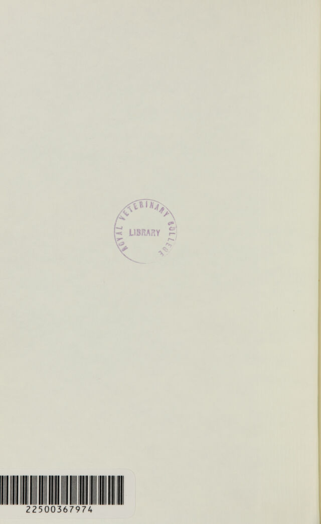 digitised image 2