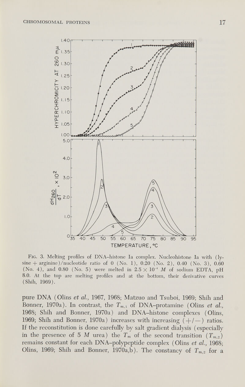 CHROMOSOMAL PROTEINS 17 Fig. 3. Melting profiles of DNA-histone la complex. Nucleohistone la with (ly¬ sine + arginine )/nucleotide ratio of О (No. 1), 0.20 (No. 2), 0.40 (No. 3), 0.60 (No. 4), and 0.80 (No. 5) were melted in 2.5 X Ю'* M of sodium EDTA, pH 8.0. At the top are melting profiles and at the bottom, their derivative curves (Shih, 1969). pure DNA (Olins et al., 1967, 1968; Matzuo and Tsuboi, 1969; Shih and Bonner, 1970a). In contrast, the Tm,i of DNA-protamine (Ohns et al., 1968; Shih and Bonner, 1970a) and DNA-histone complexes (Ohns, 1969; Shih and Bonner, 1970a) increases with increasing (-|-/ — ) ratios. If the reconstitution is done carefully by salt gradient dialysis ( especially in the presence of 5 M urea) the of the second transition {Tm,2) remains constant for each DNA-polypeptide complex ( Olins et al., 1968; Olins, 1969; Shih and Bonner, 1970a,b). The constancy of Tm,2 for a